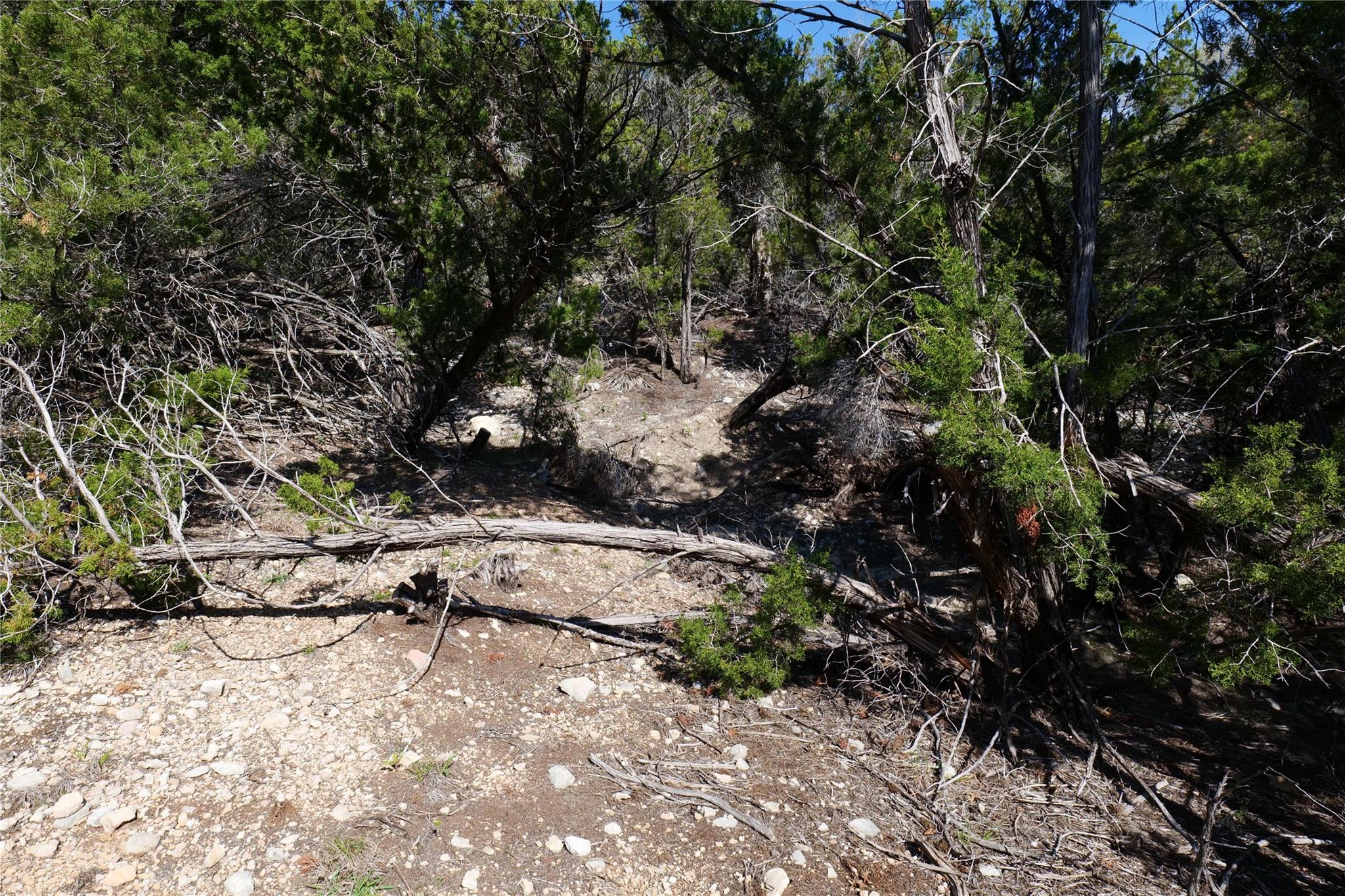 17442 E Reed Park Rd, Jonestown, TX 78645