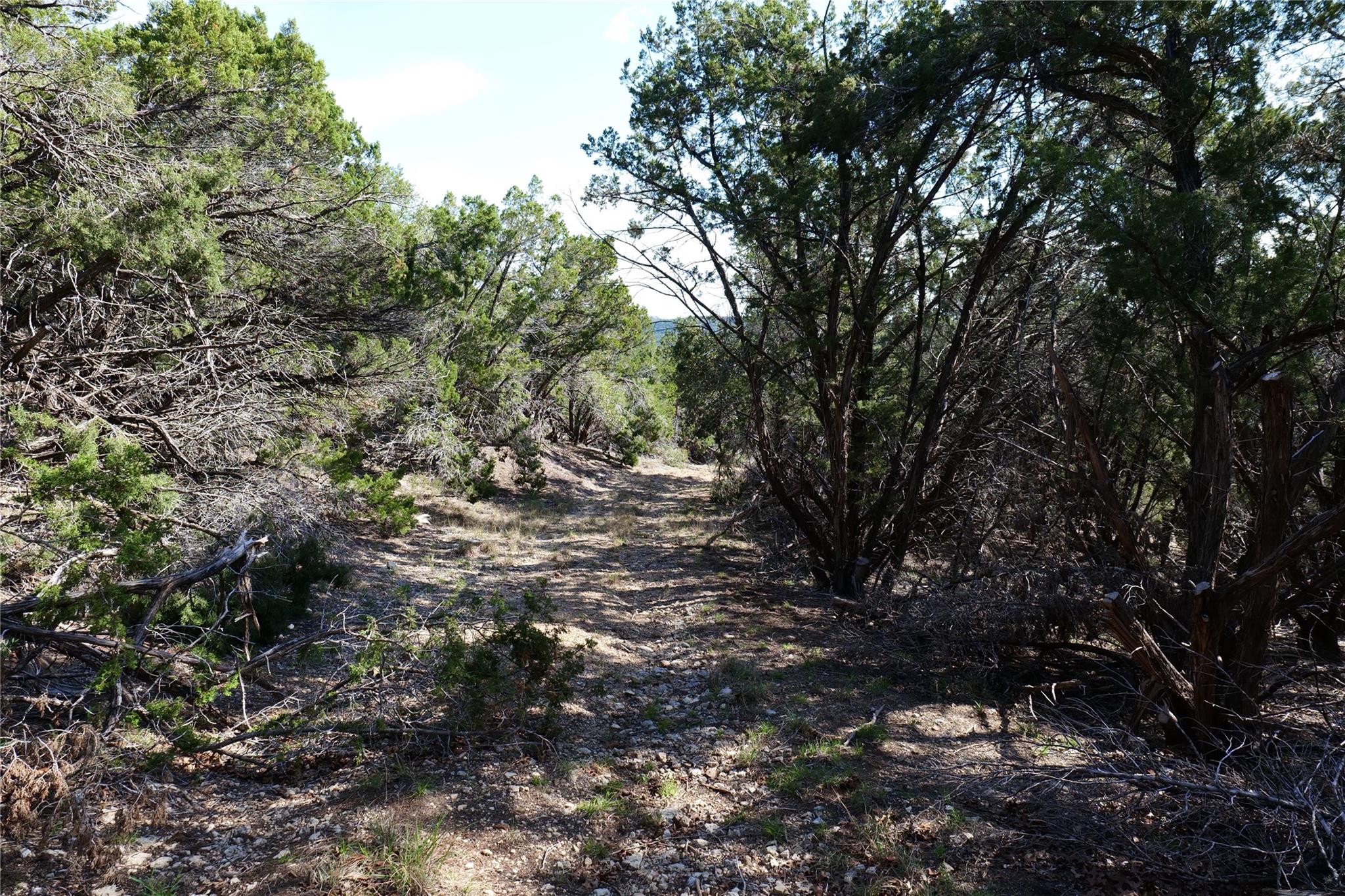 17442 E Reed Park Rd, Jonestown, TX 78645