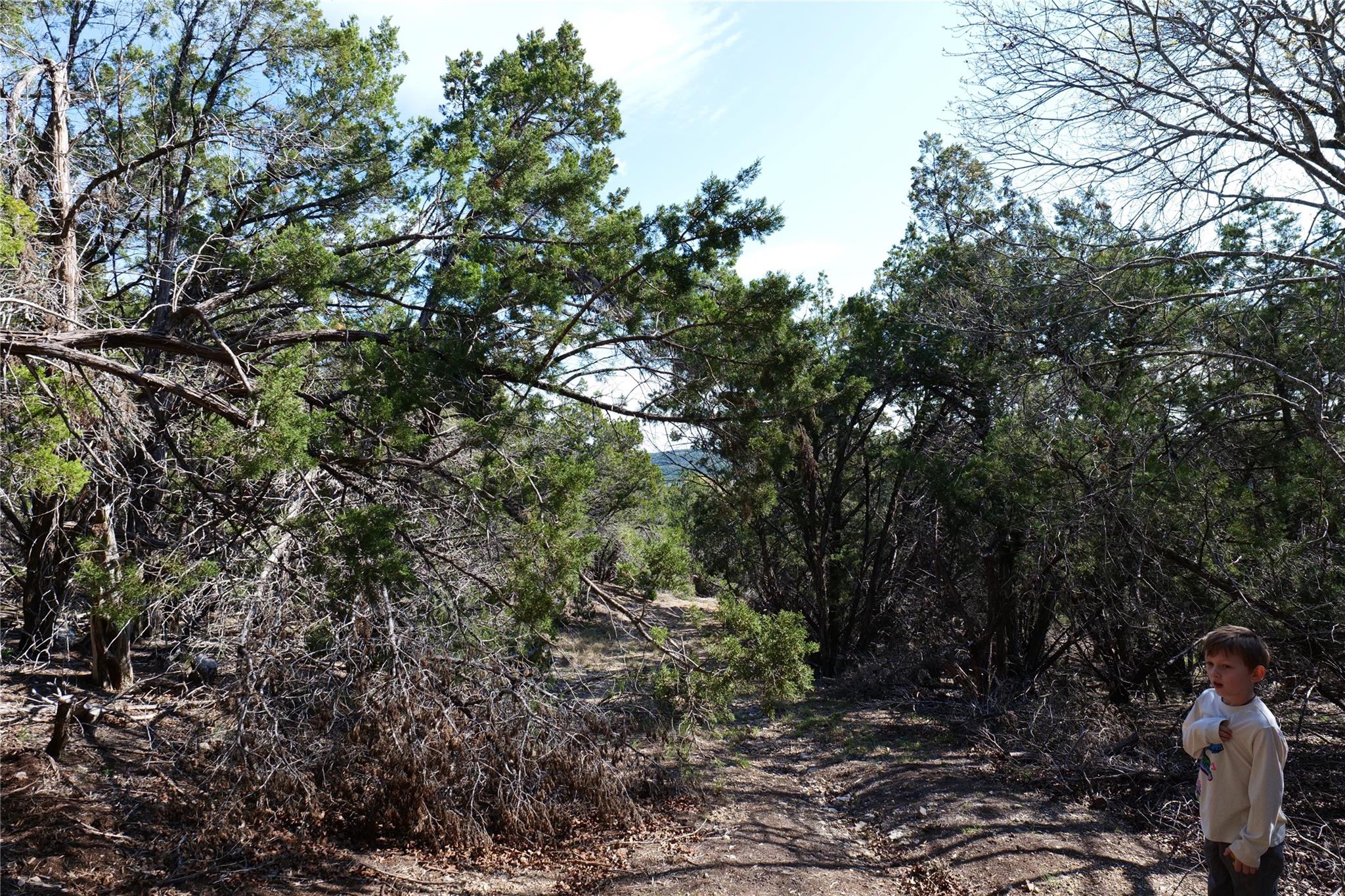 17442 E Reed Park Rd, Jonestown, TX 78645