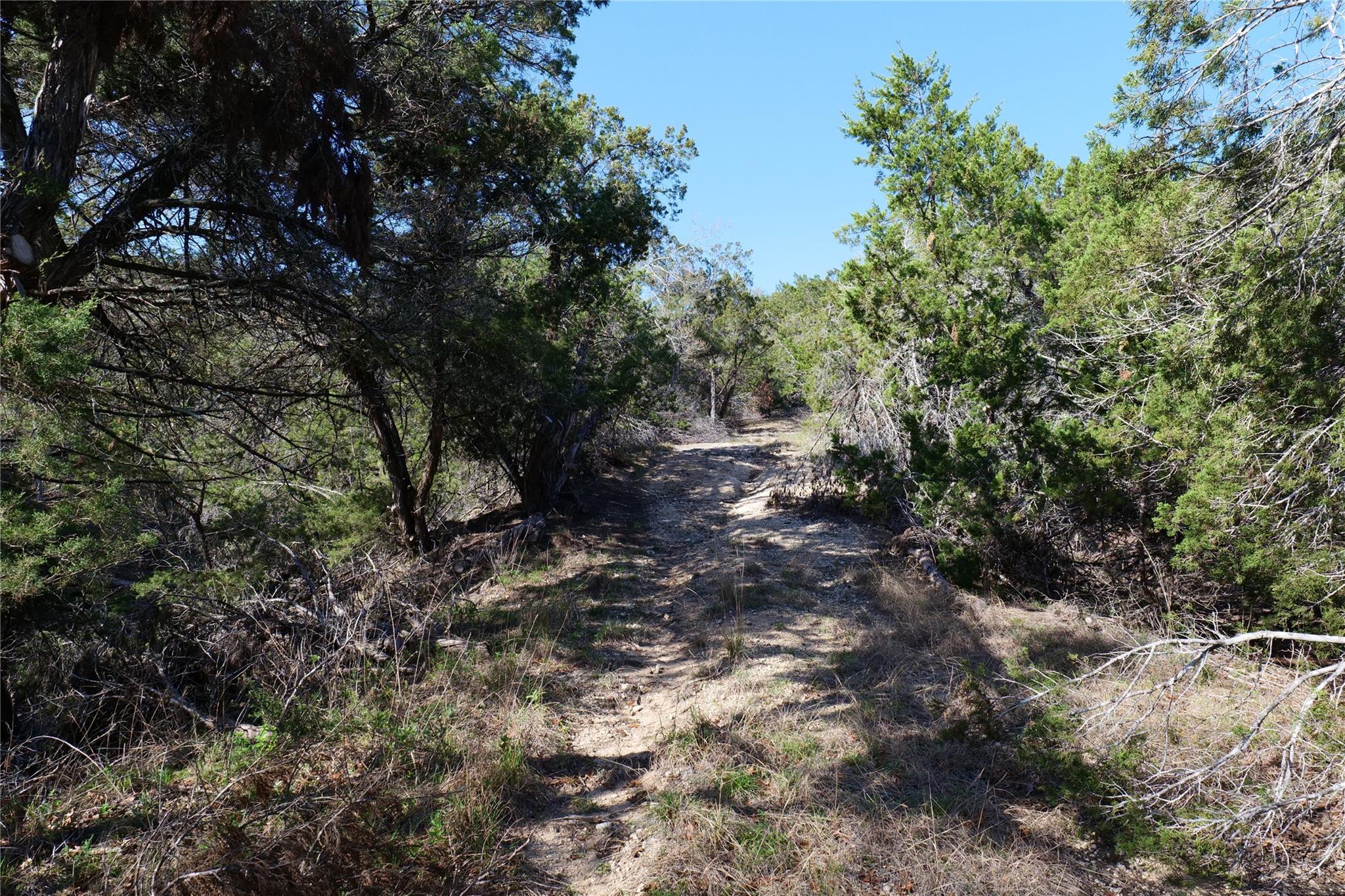 17442 E Reed Park Rd, Jonestown, TX 78645