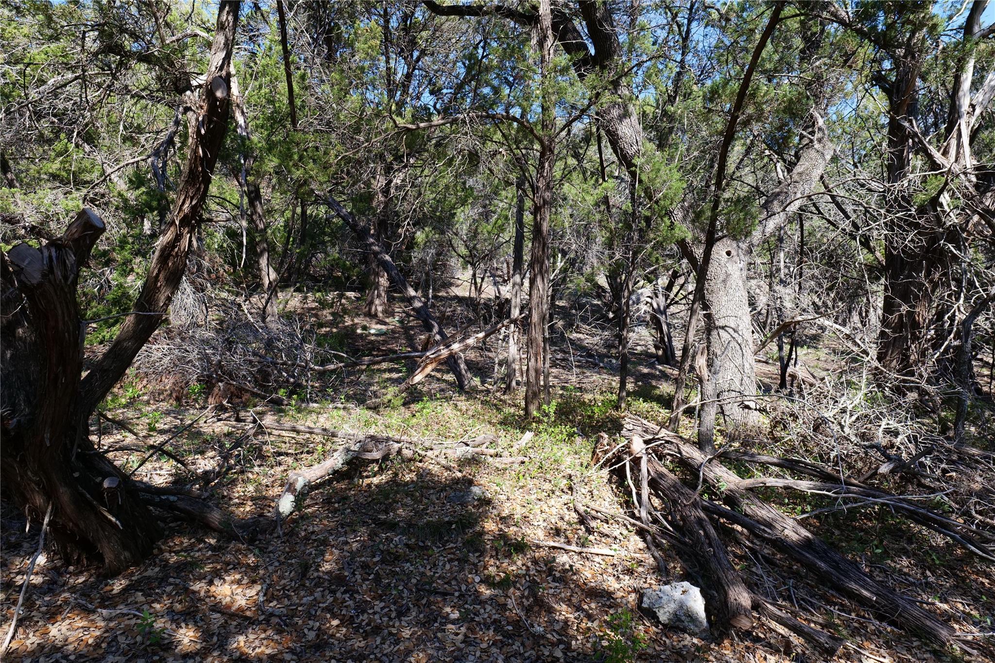 17442 E Reed Park Rd, Jonestown, TX 78645