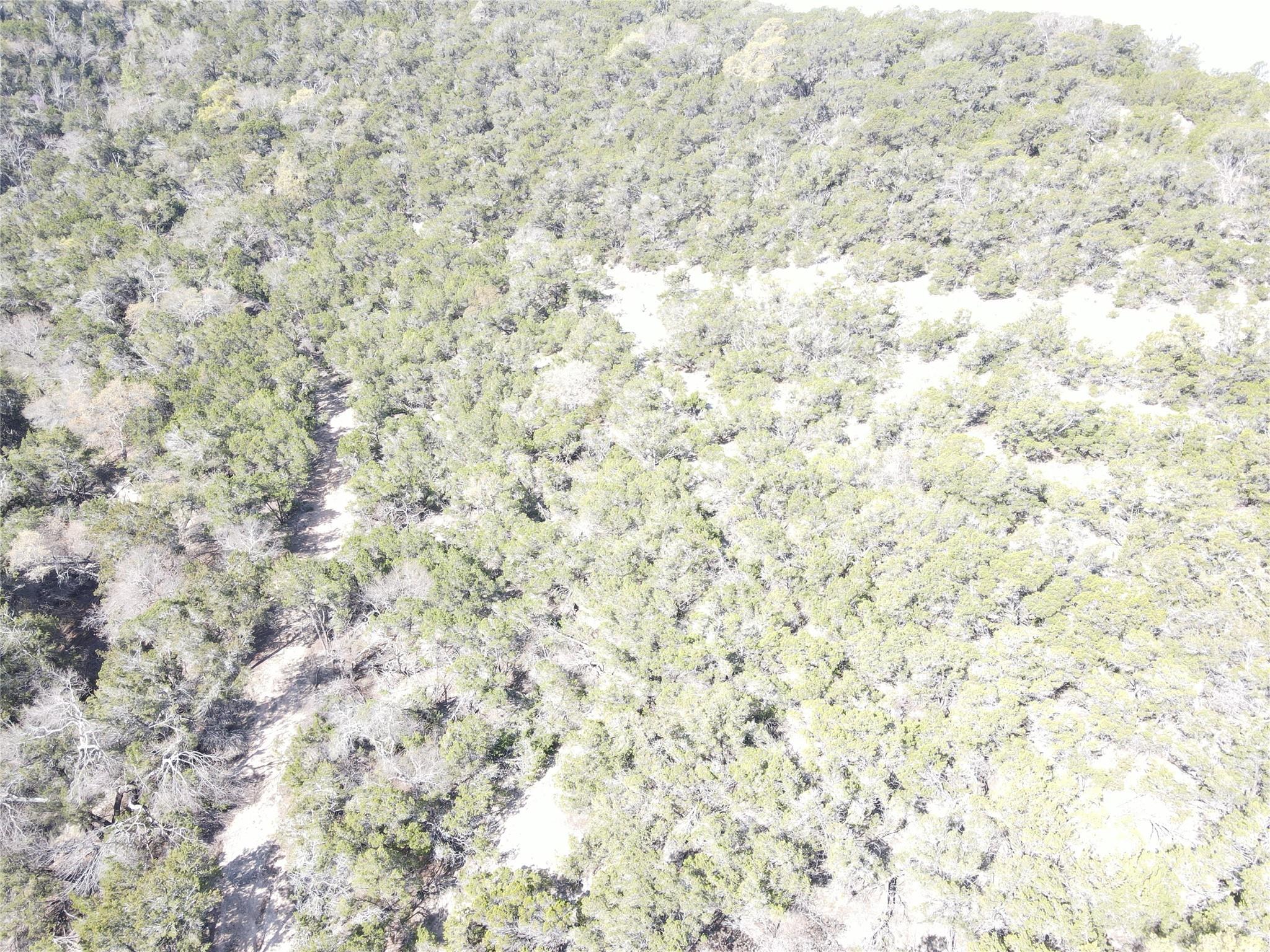 17442 E Reed Park Rd, Jonestown, TX 78645