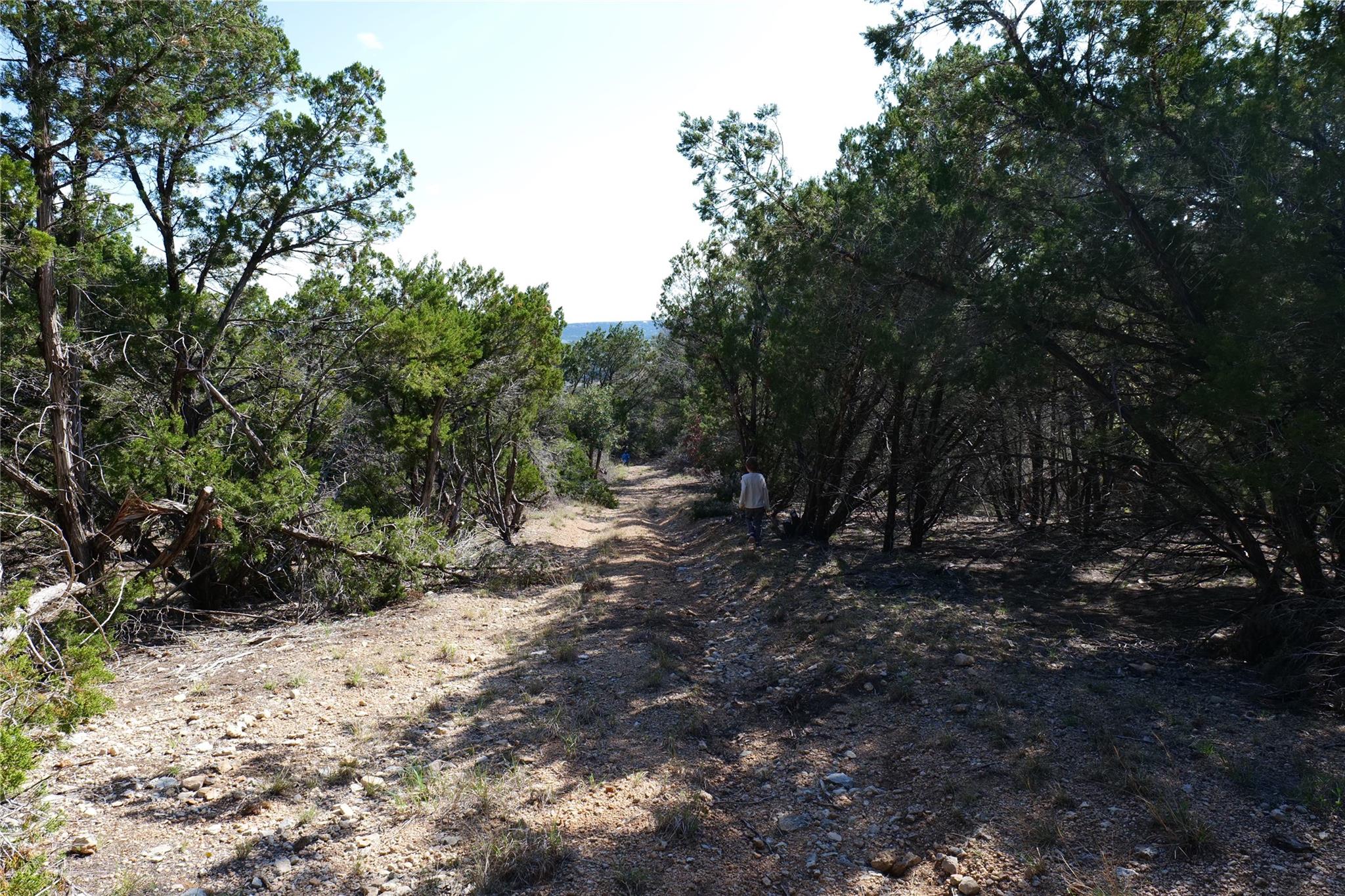 17442 E Reed Park Rd, Jonestown, TX 78645