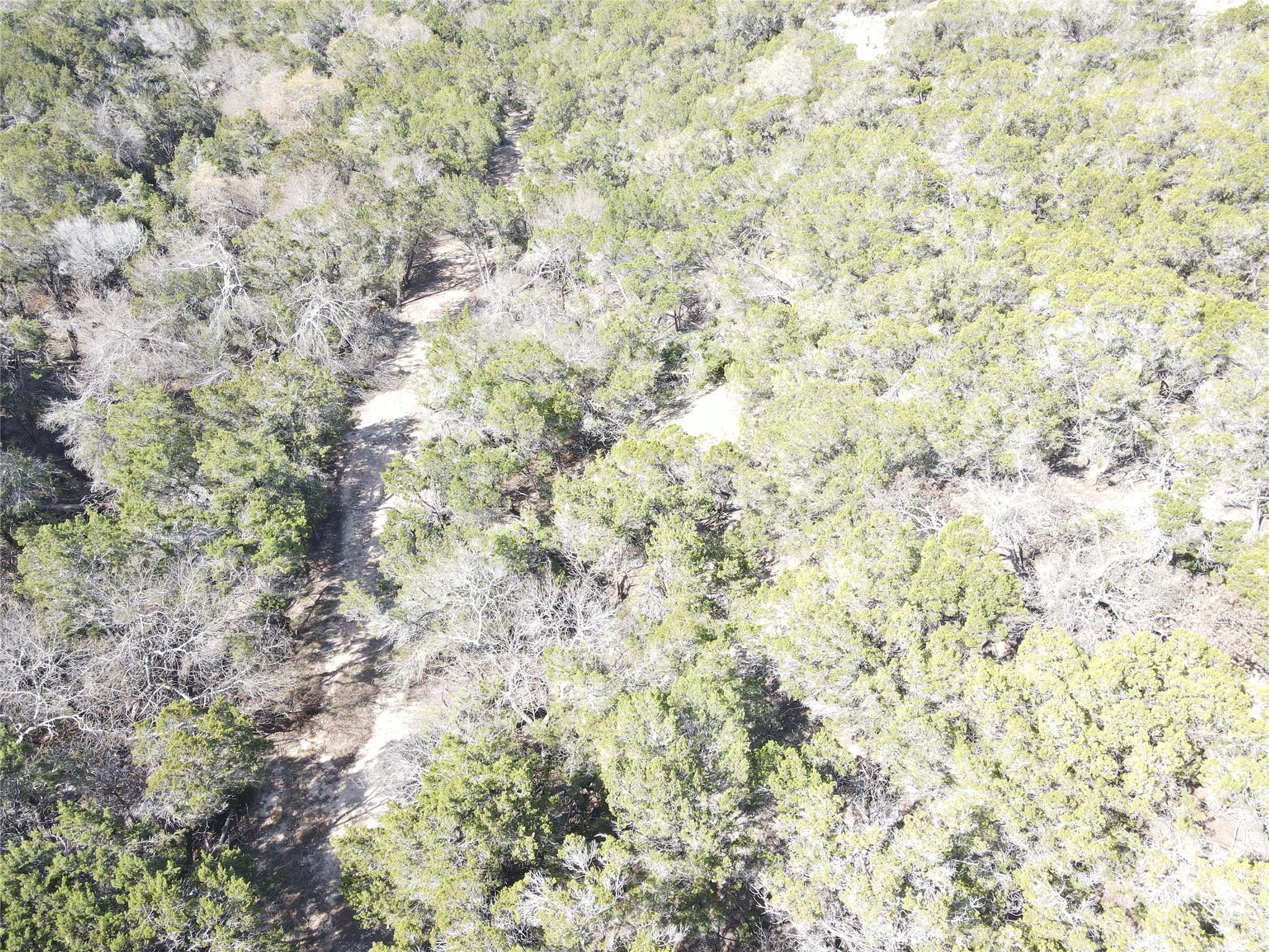 17442 E Reed Park Rd, Jonestown, TX 78645