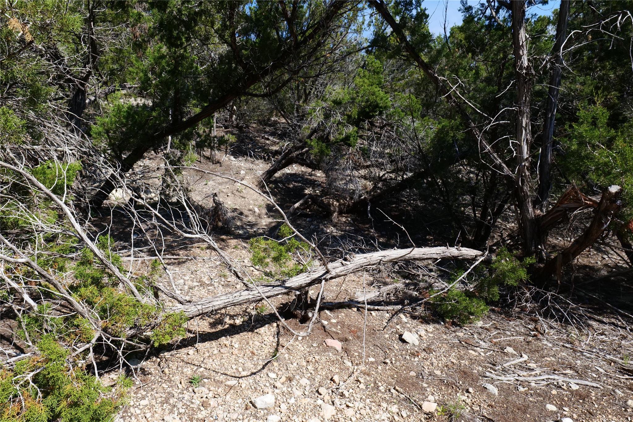 17442 E Reed Park Rd, Jonestown, TX 78645