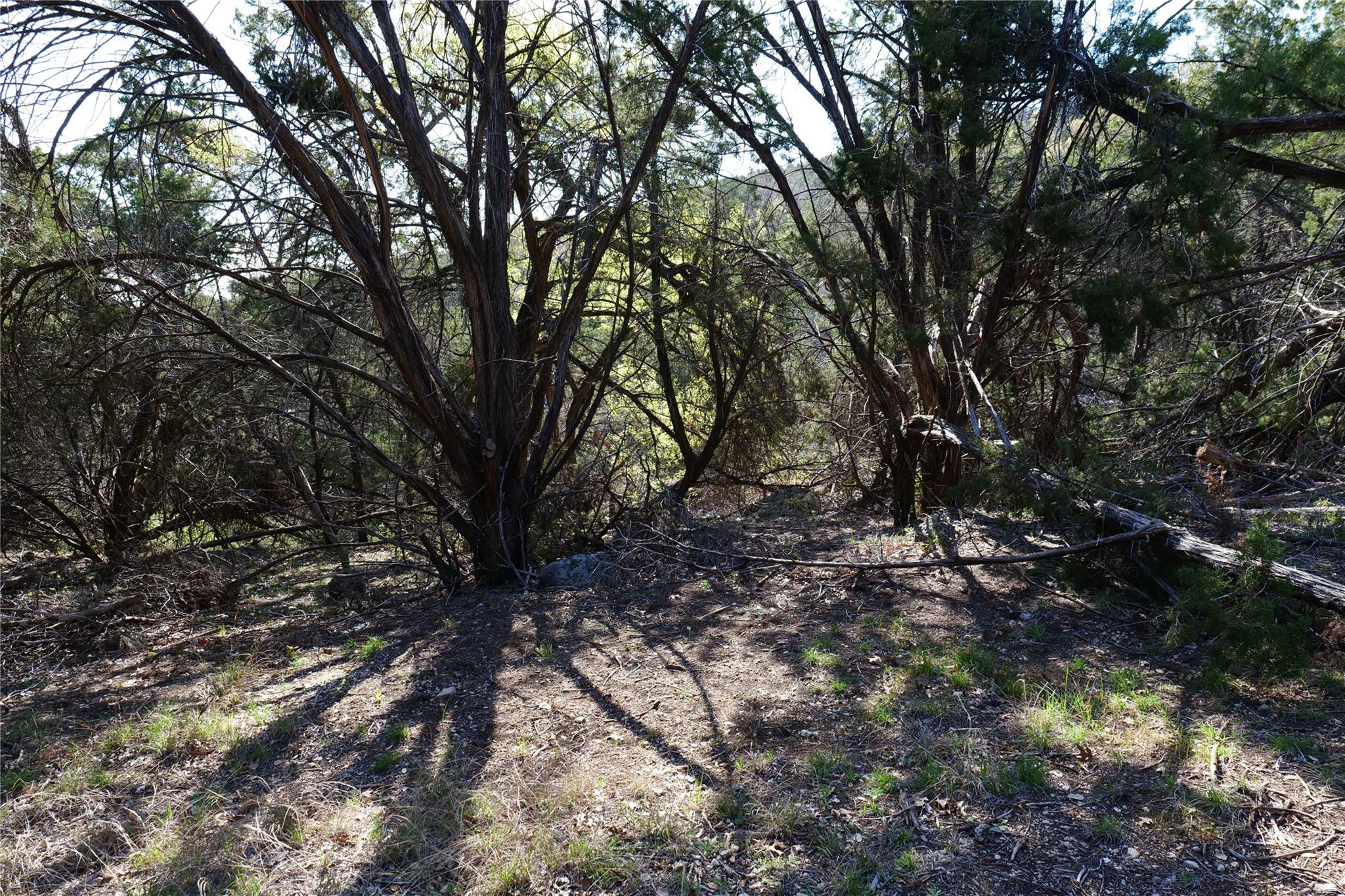 17442 E Reed Park Rd, Jonestown, TX 78645