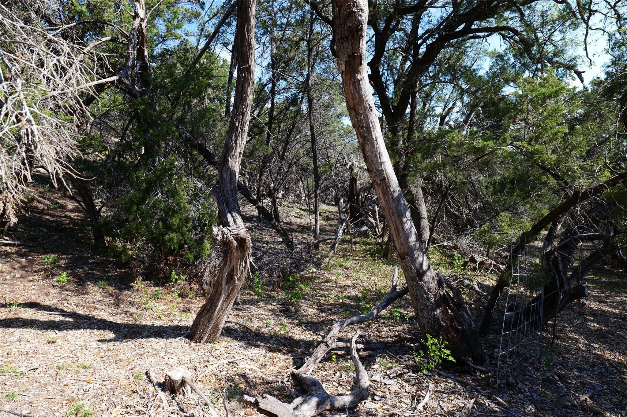 17442 E Reed Park Rd, Jonestown, TX 78645