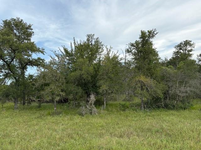 TBD Willis Ln, Smithville, TX 78957