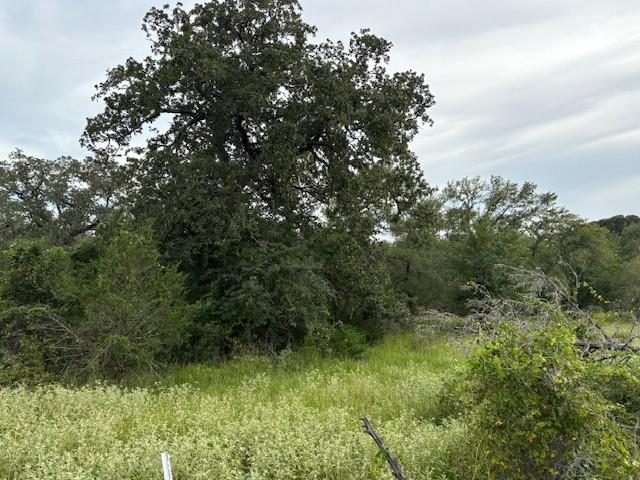 TBD Willis Ln, Smithville, TX 78957