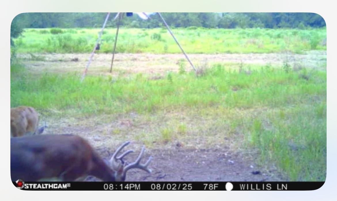 TBD Willis Ln, Smithville, TX 78957