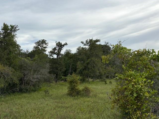 TBD Willis Ln, Smithville, TX 78957