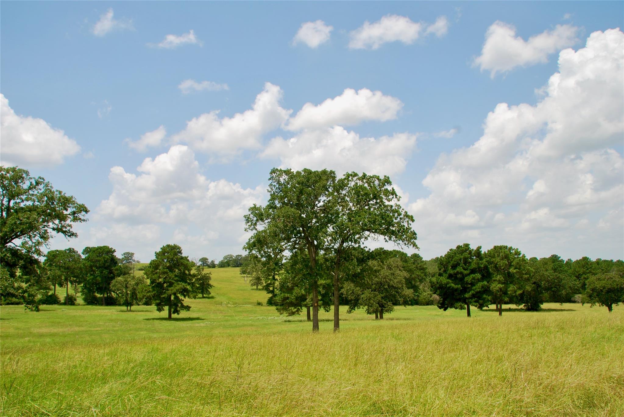 TBD Sandy Ln, Rosanky, TX 78953