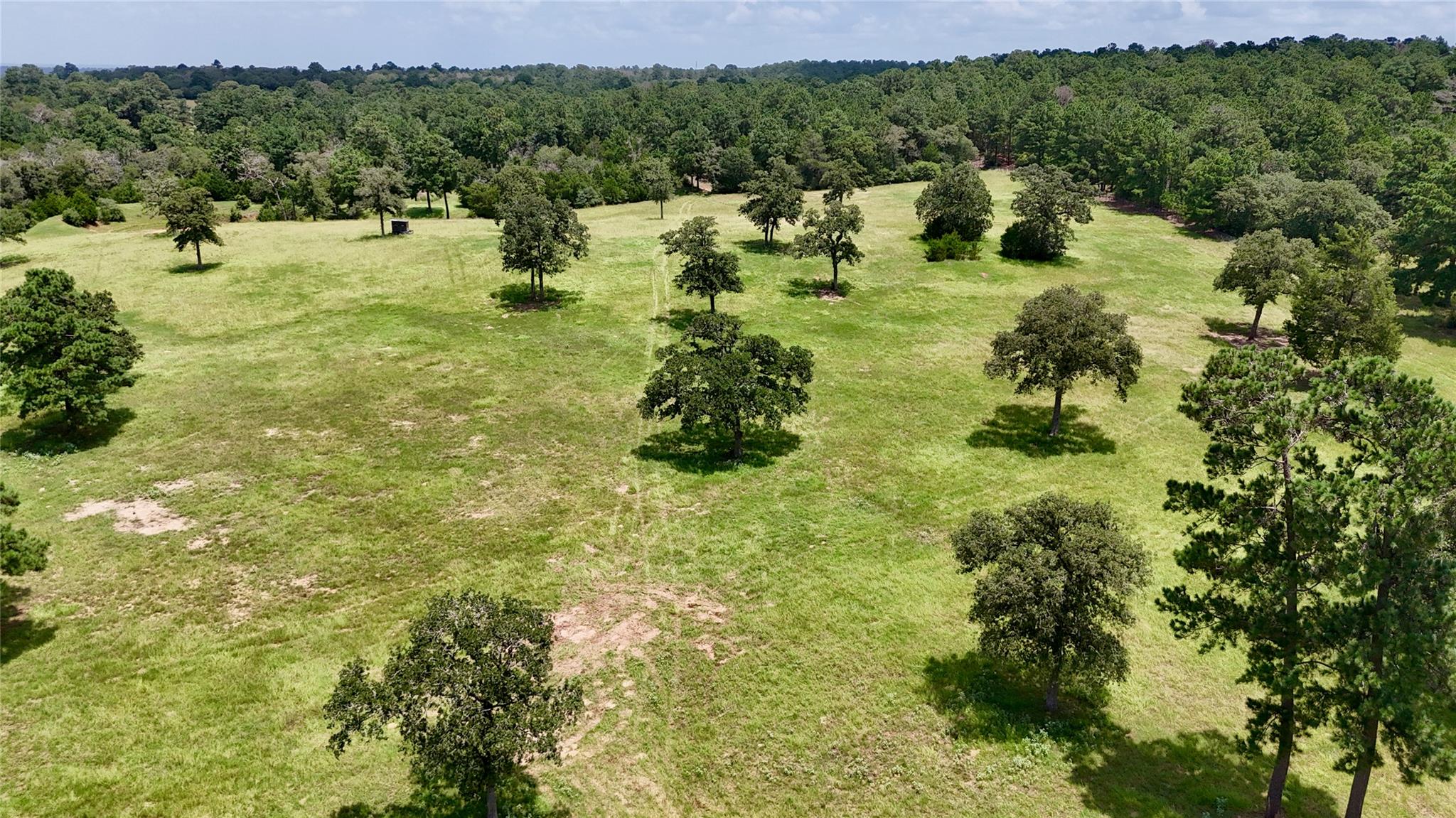 TBD Sandy Ln, Rosanky, TX 78953
