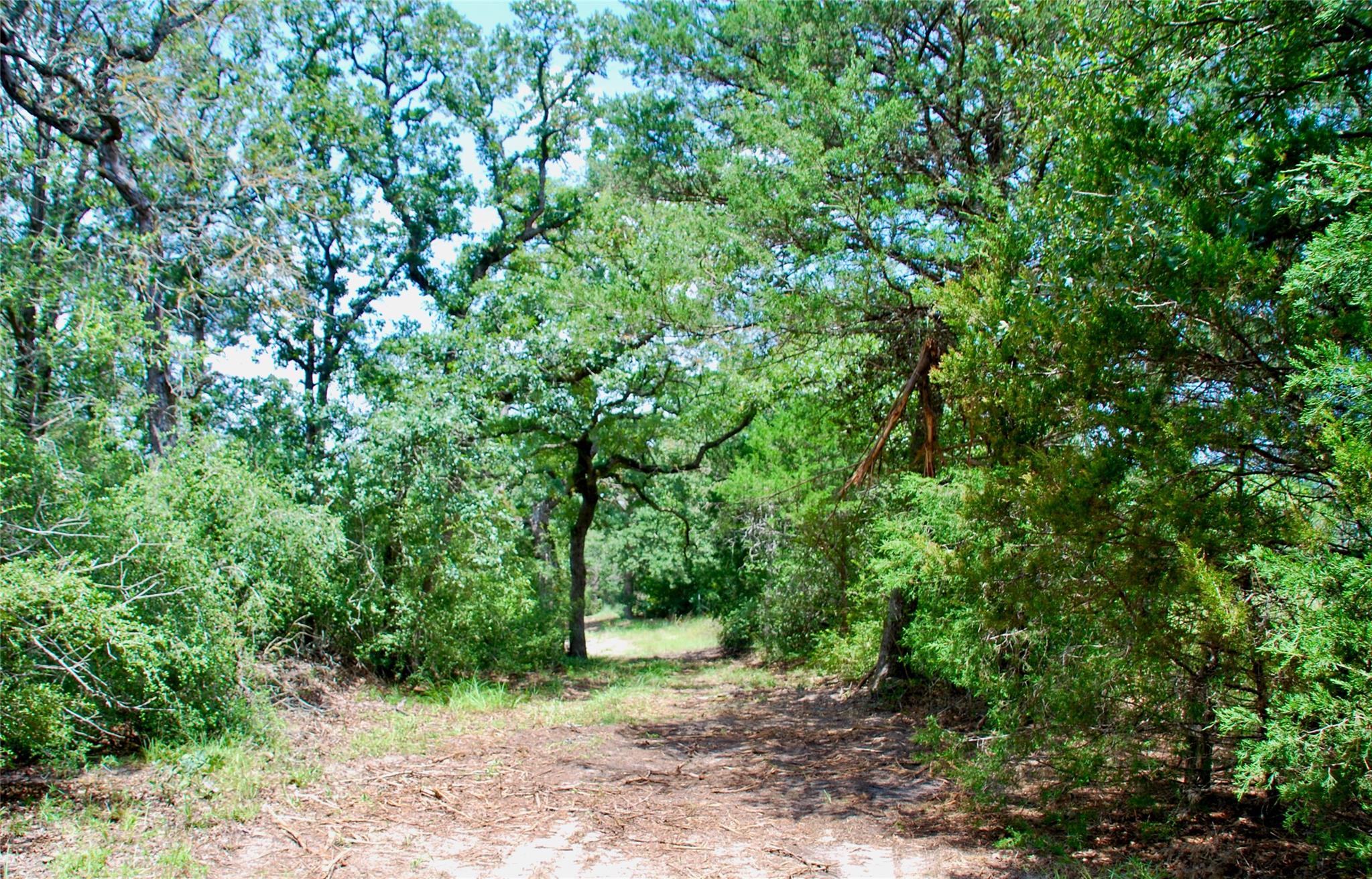 TBD Sandy Ln, Rosanky, TX 78953