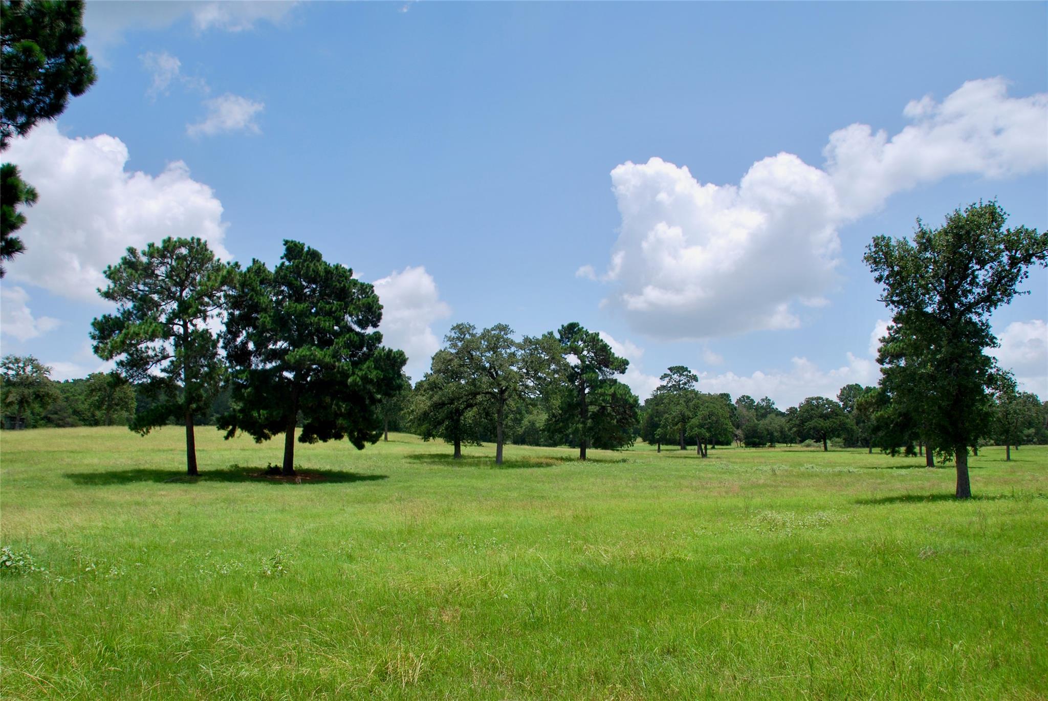 TBD Sandy Ln, Rosanky, TX 78953