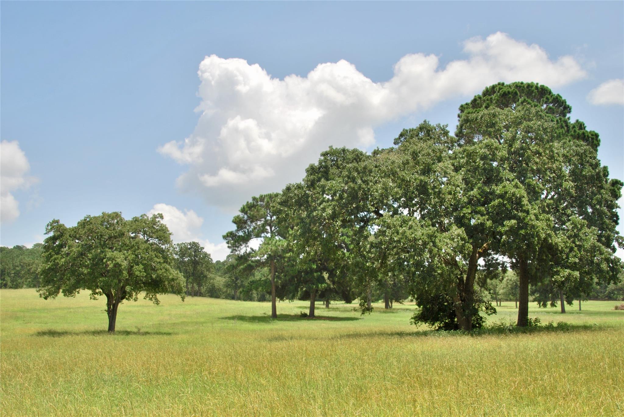 TBD Sandy Ln, Rosanky, TX 78953