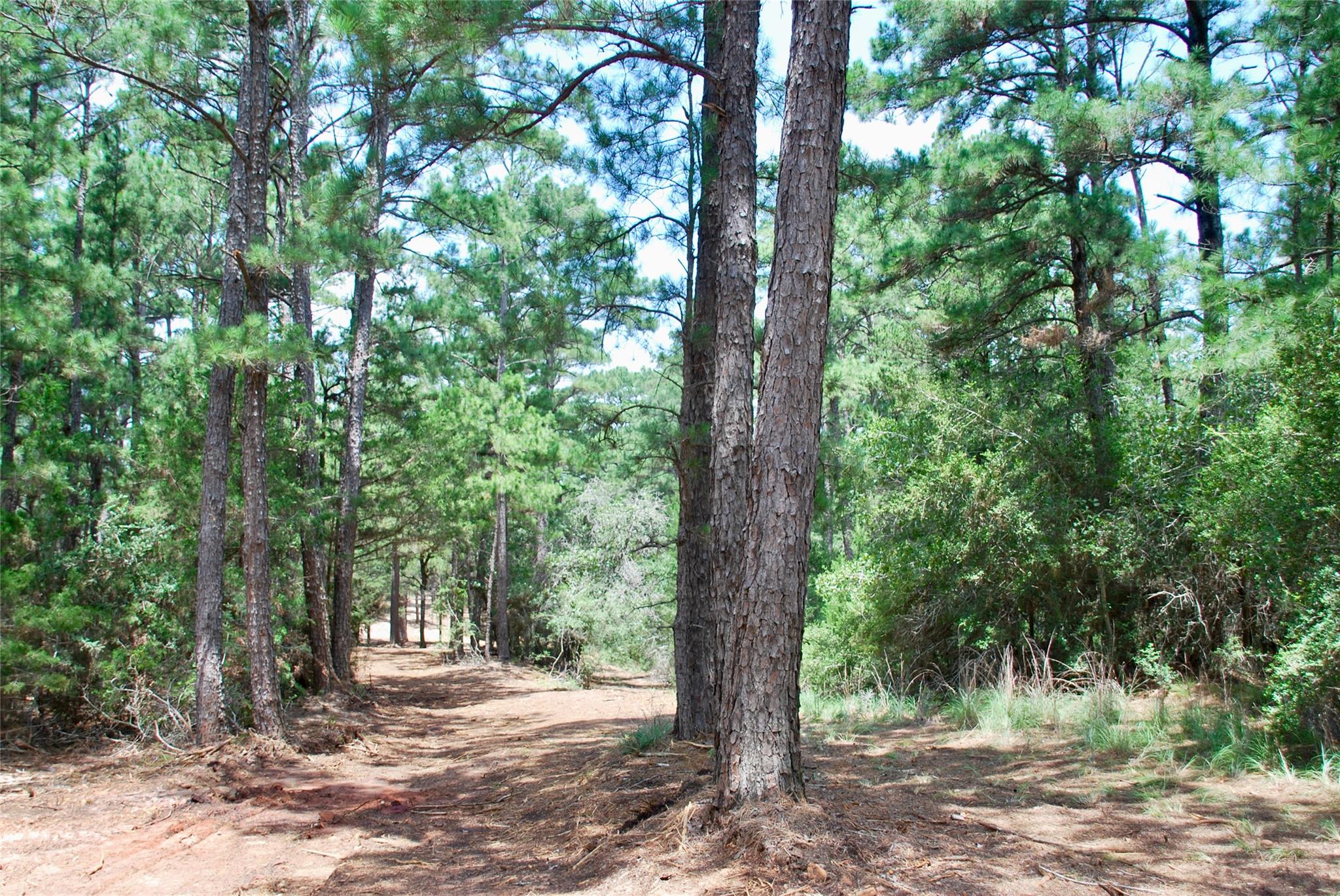 TBD Sandy Ln, Rosanky, TX 78953