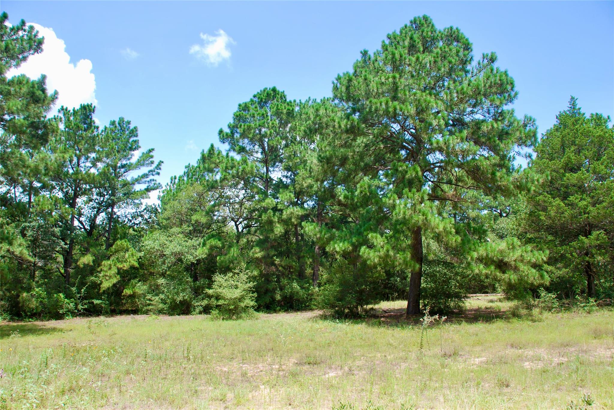TBD Sandy Ln, Rosanky, TX 78953