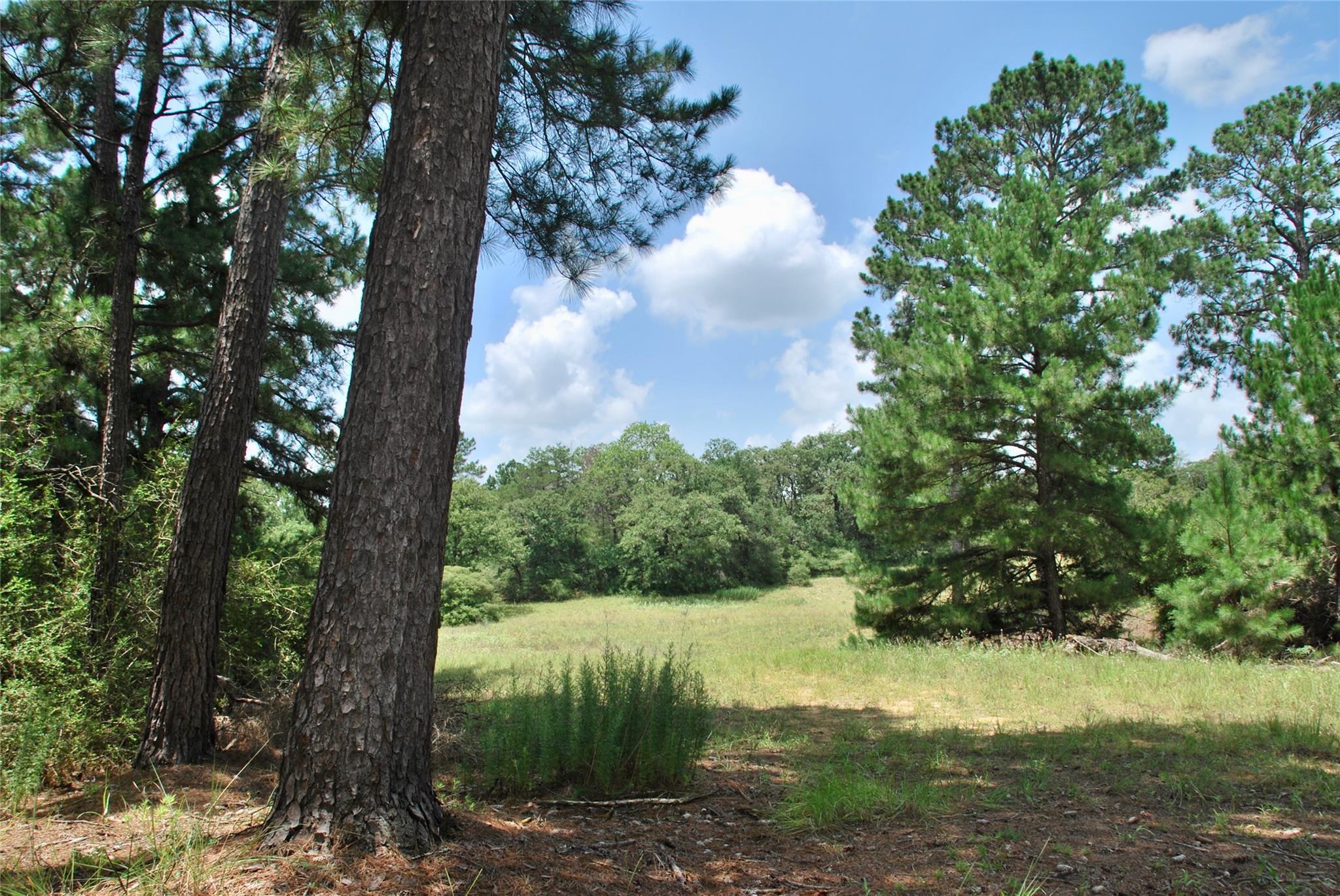 TBD Sandy Ln, Rosanky, TX 78953