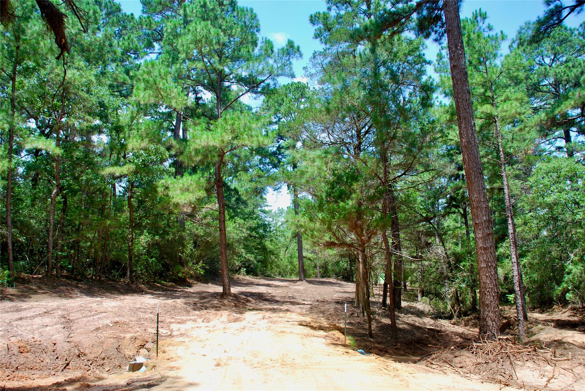 TBD Sandy Ln, Rosanky, TX 78953