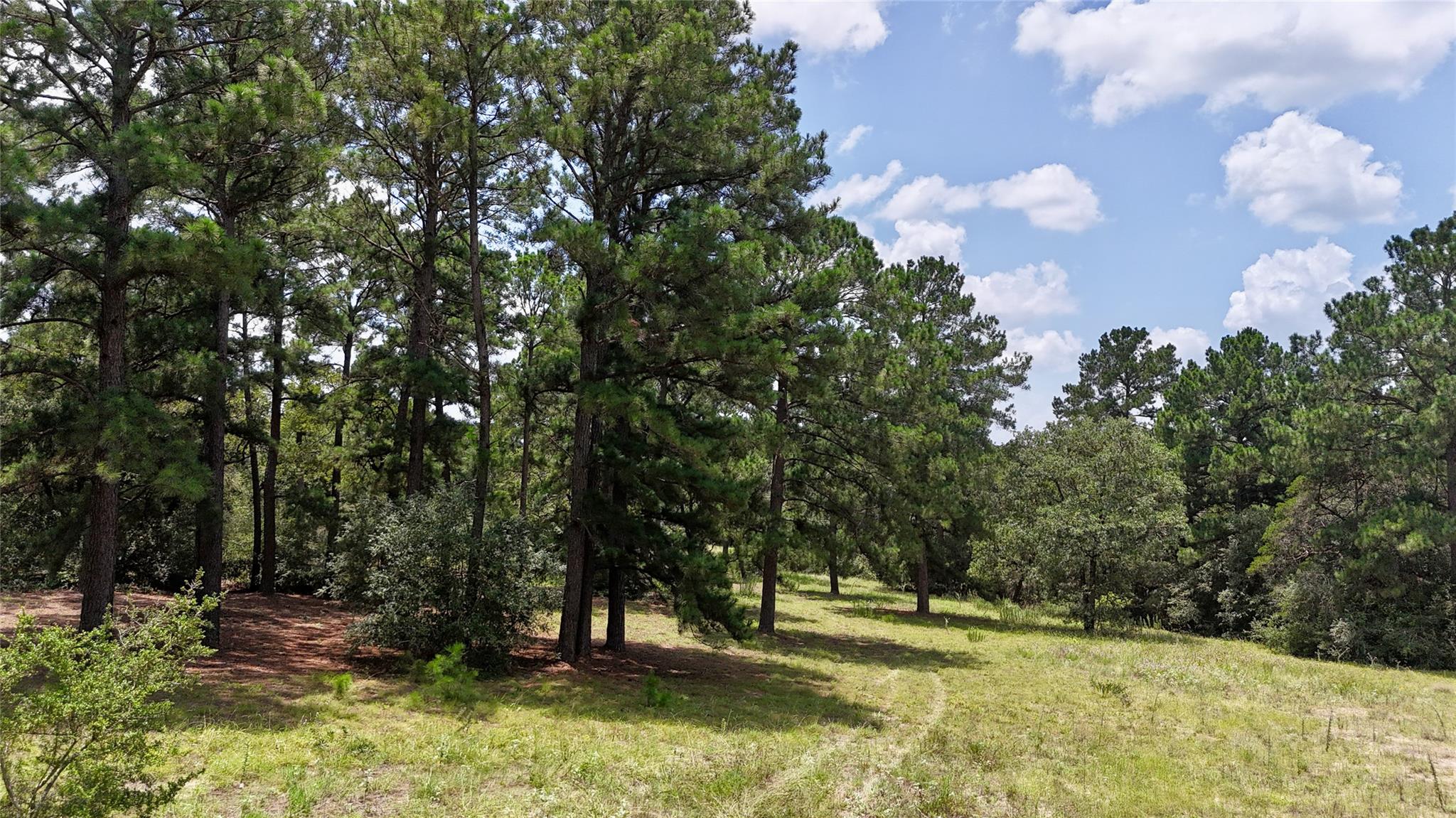 TBD Sandy Ln, Rosanky, TX 78953