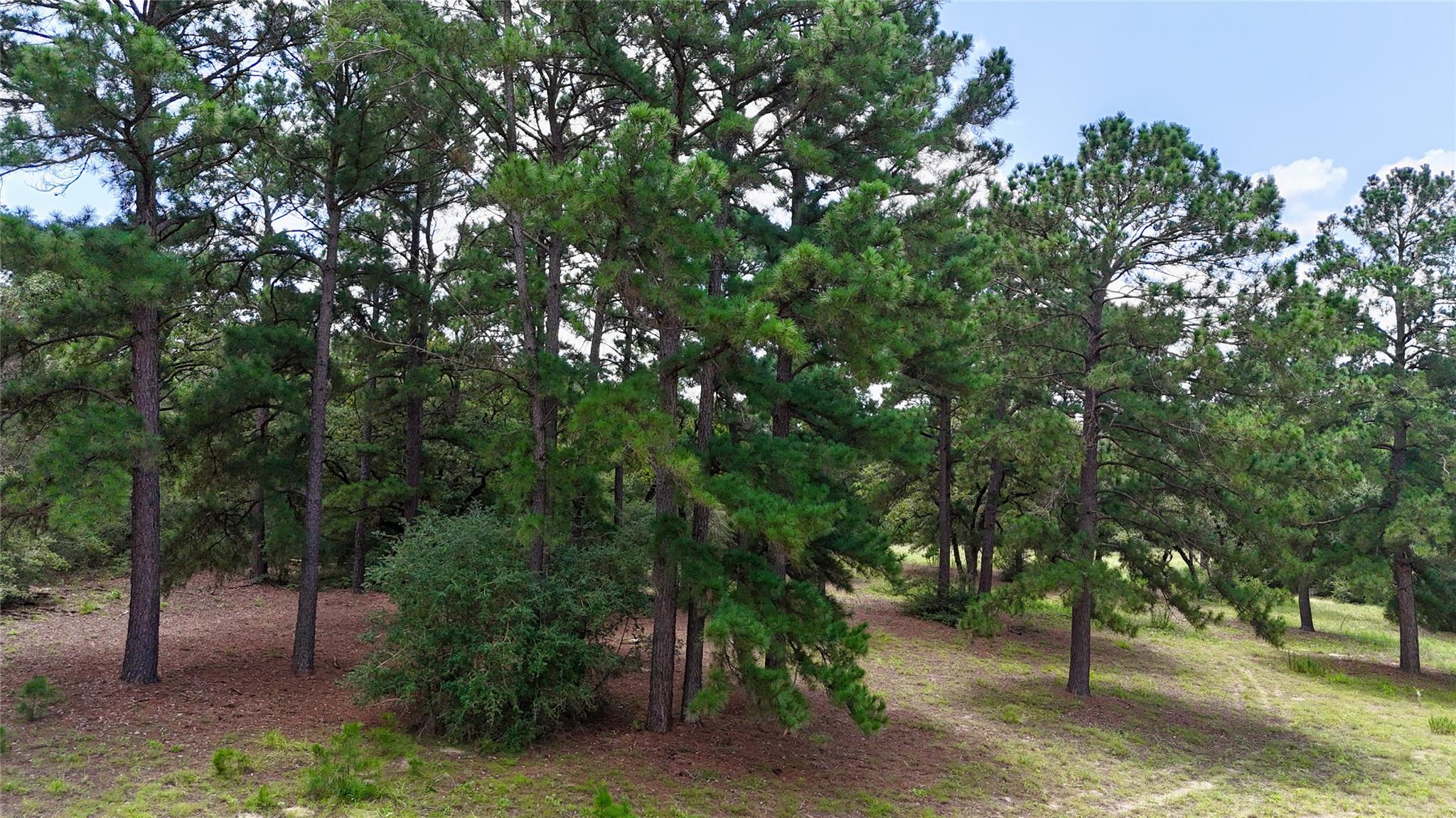 TBD Sandy Ln, Rosanky, TX 78953