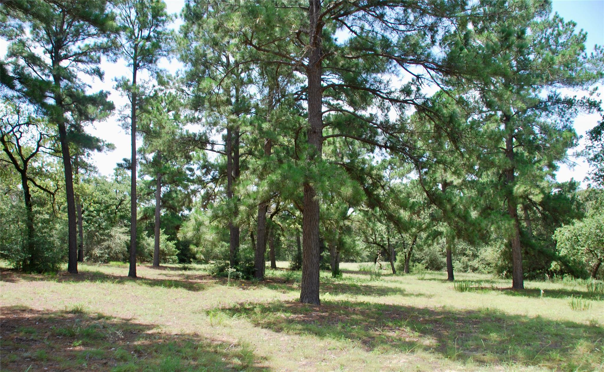 TBD Sandy Ln, Rosanky, TX 78953