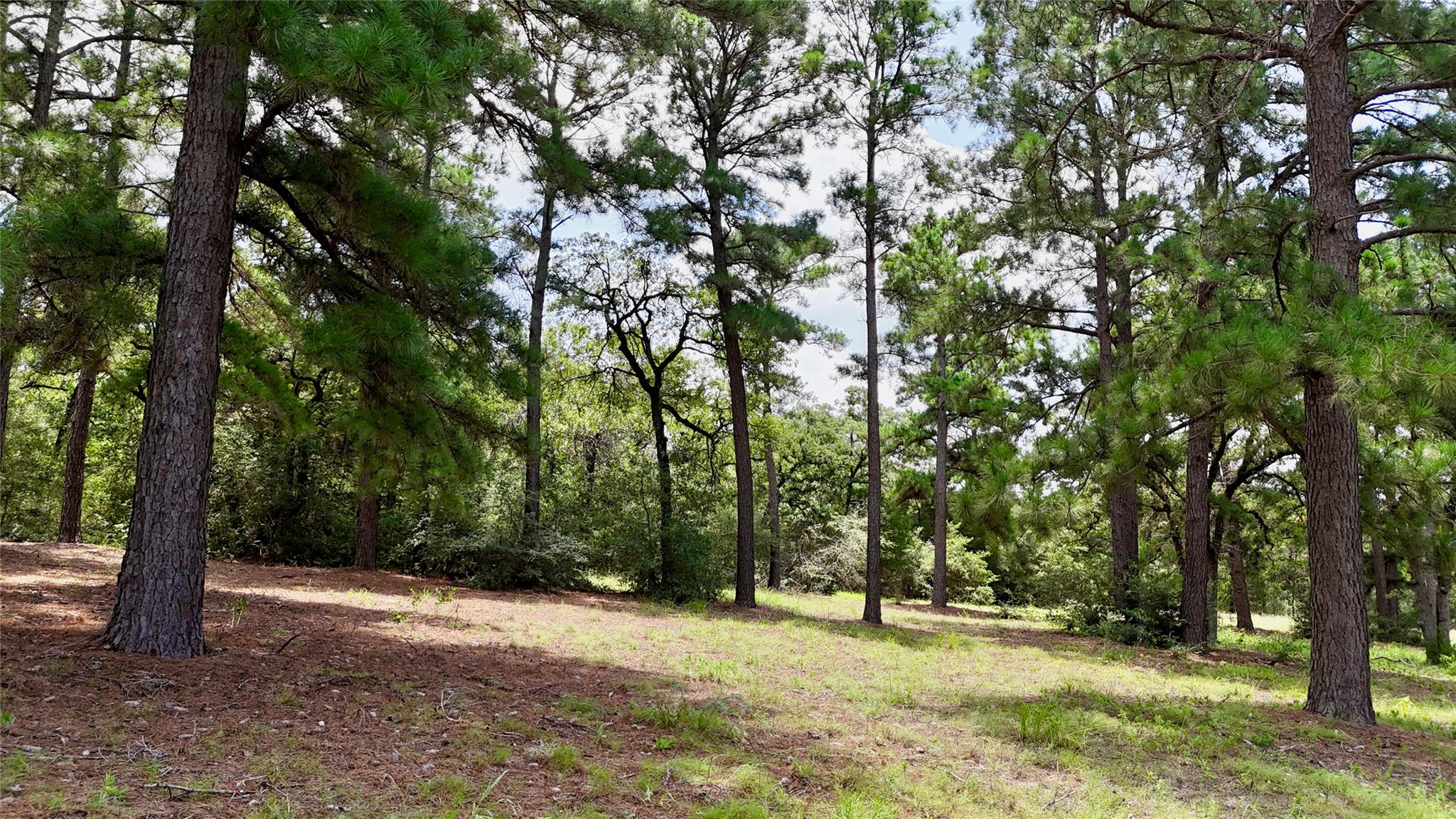 TBD Sandy Ln, Rosanky, TX 78953