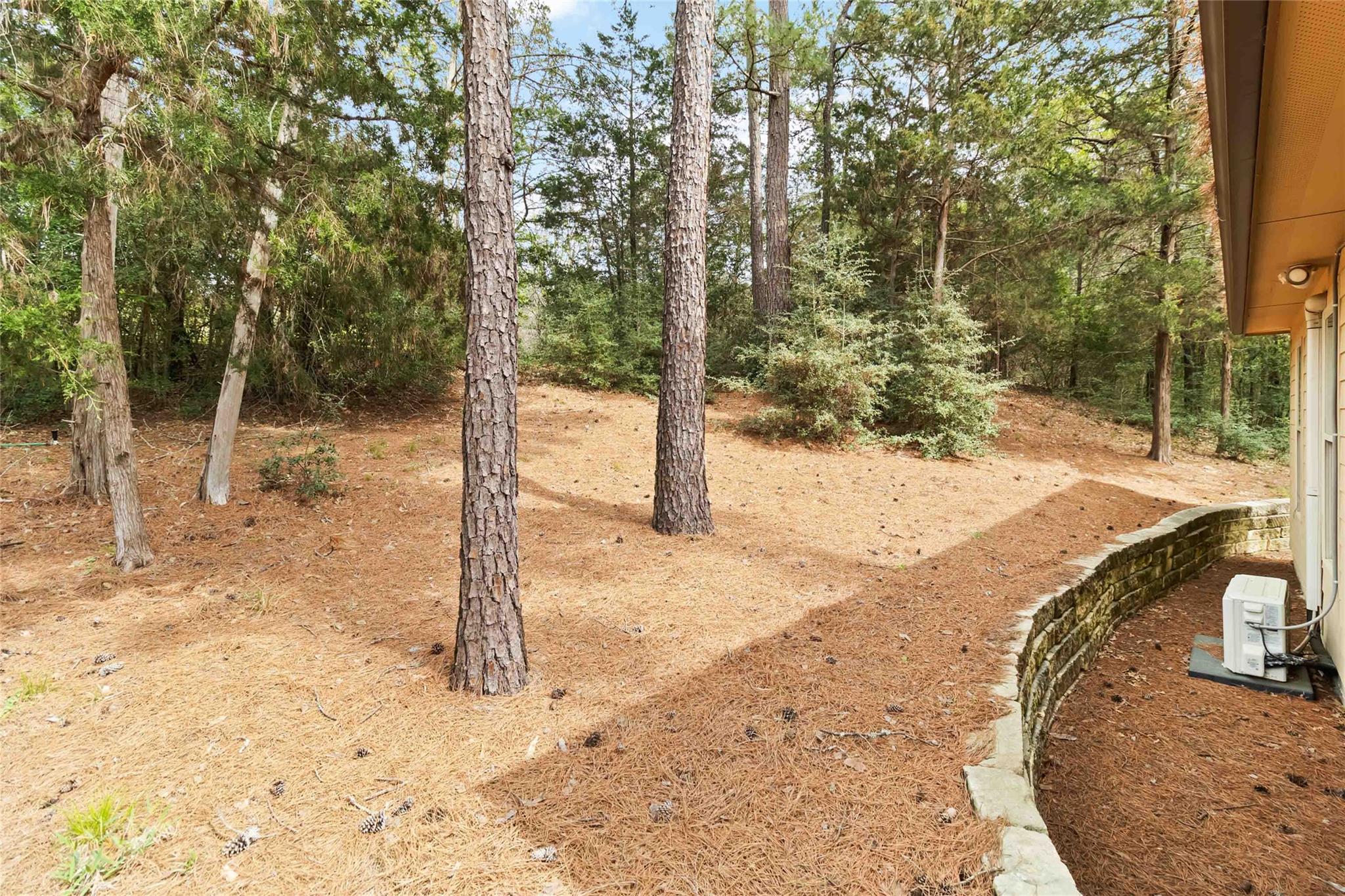 142 Kaanapali Ln, Bastrop, TX 78602