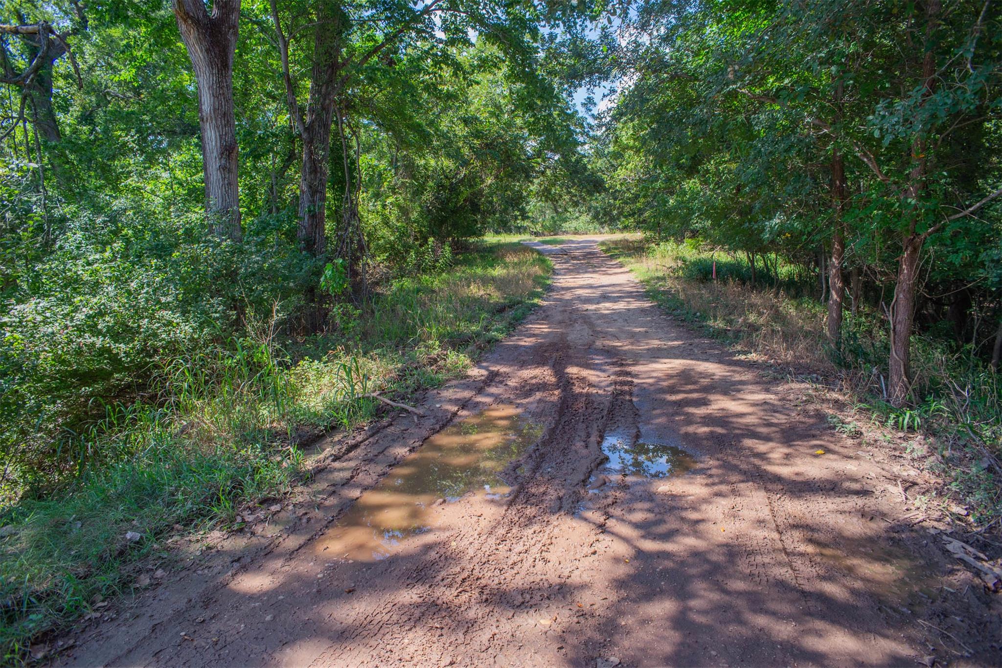 128 Kaukonahua Ln, Bastrop, TX 78602