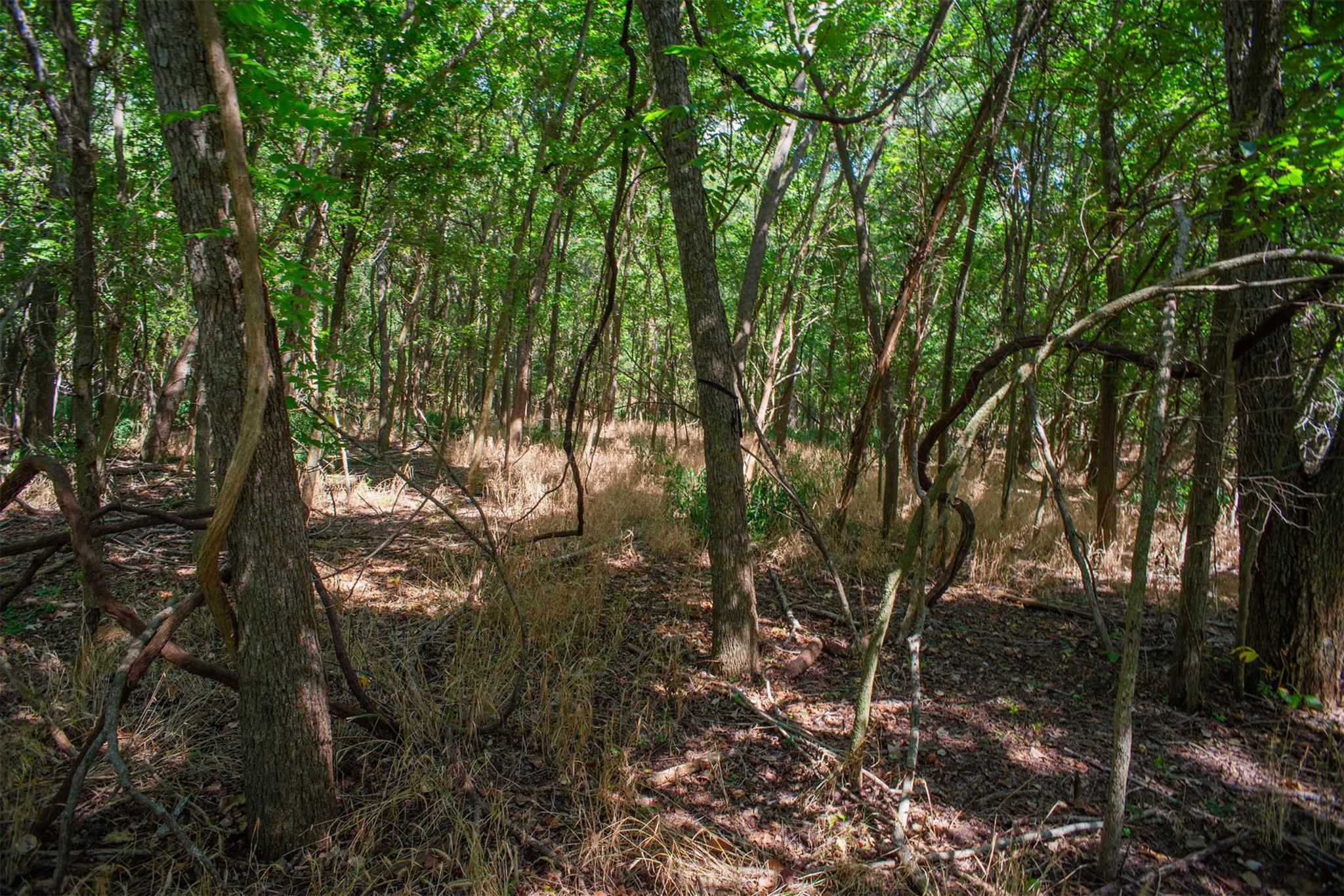 128 Kaukonahua Ln, Bastrop, TX 78602