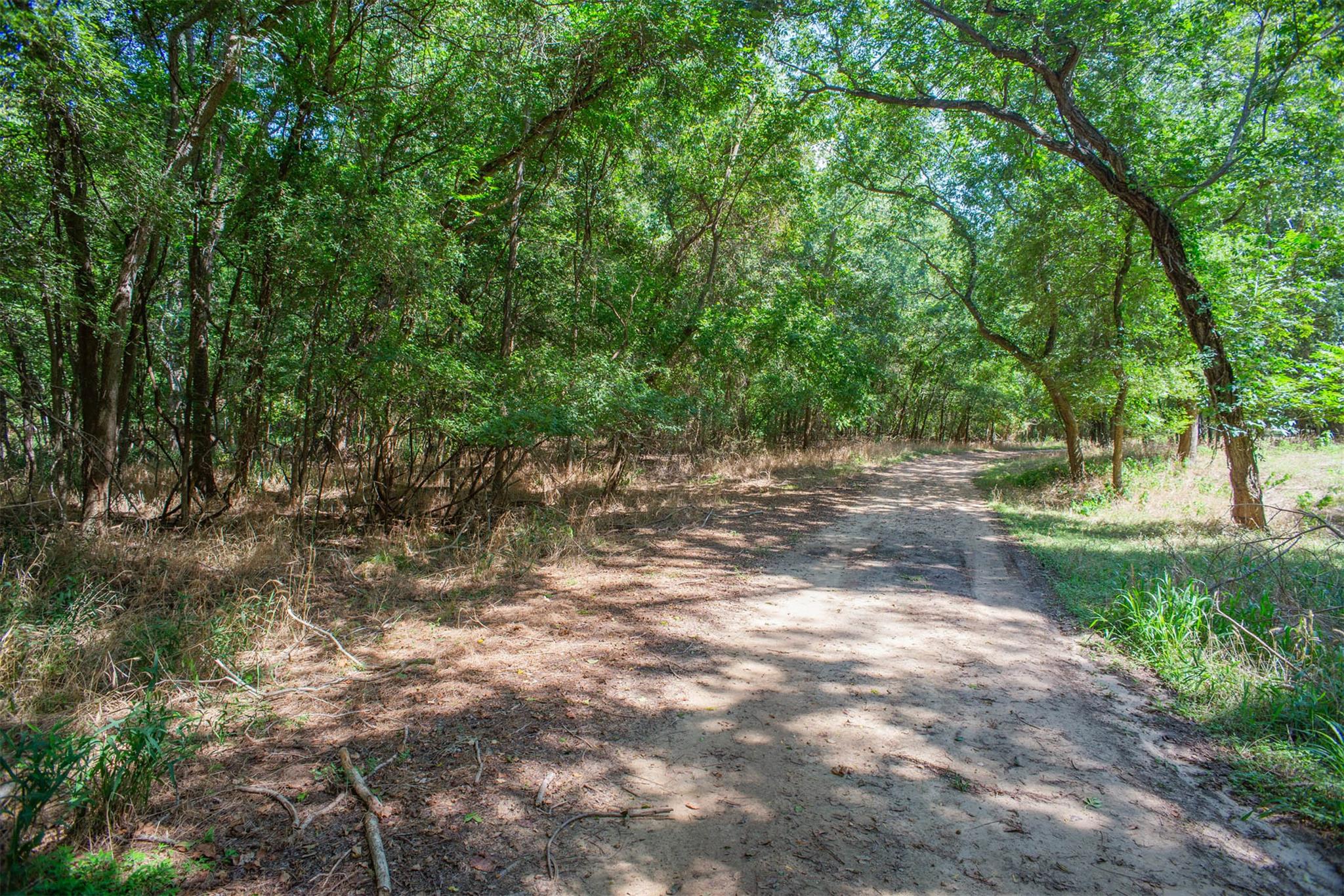 128 Kaukonahua Ln, Bastrop, TX 78602