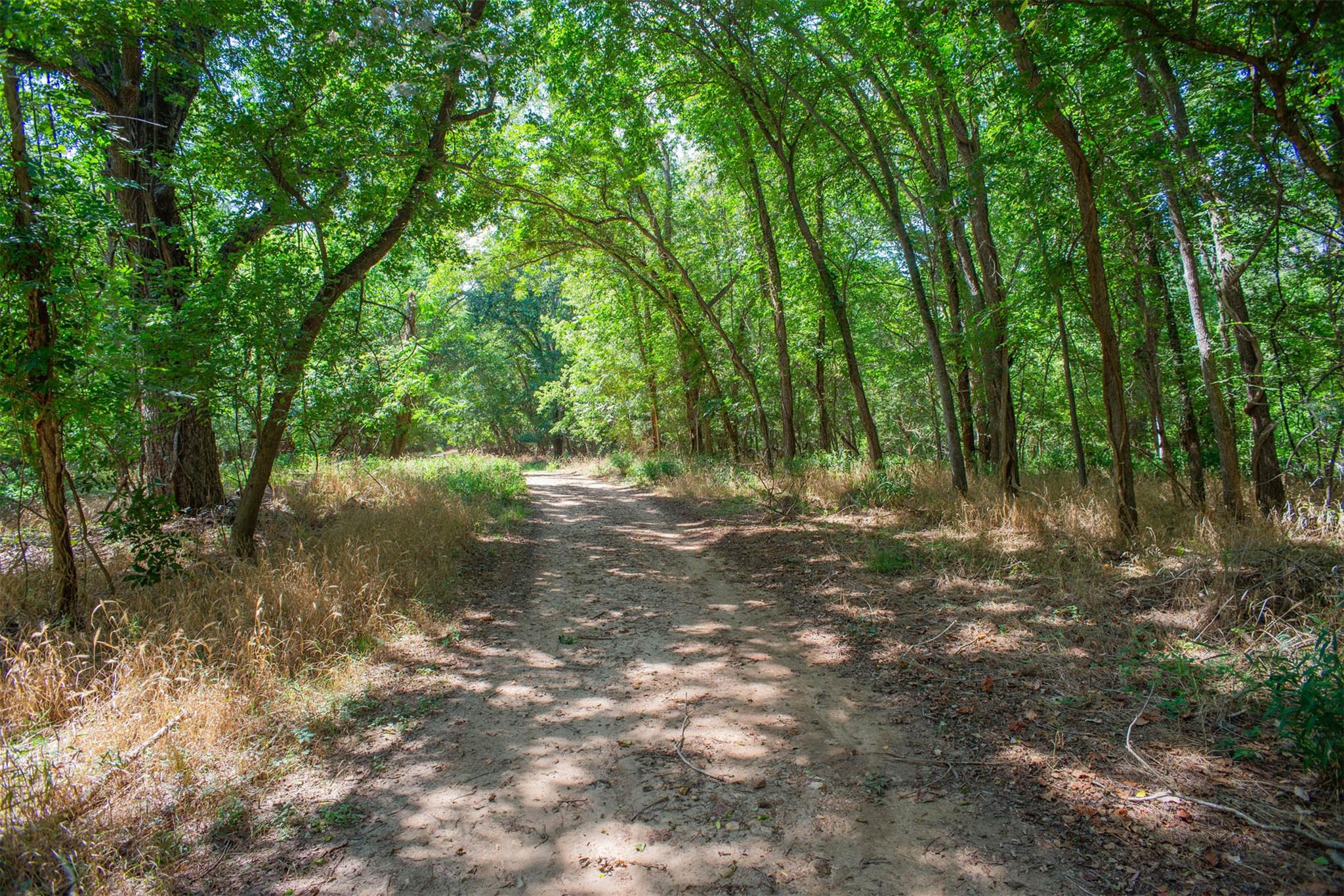 128 Kaukonahua Ln, Bastrop, TX 78602