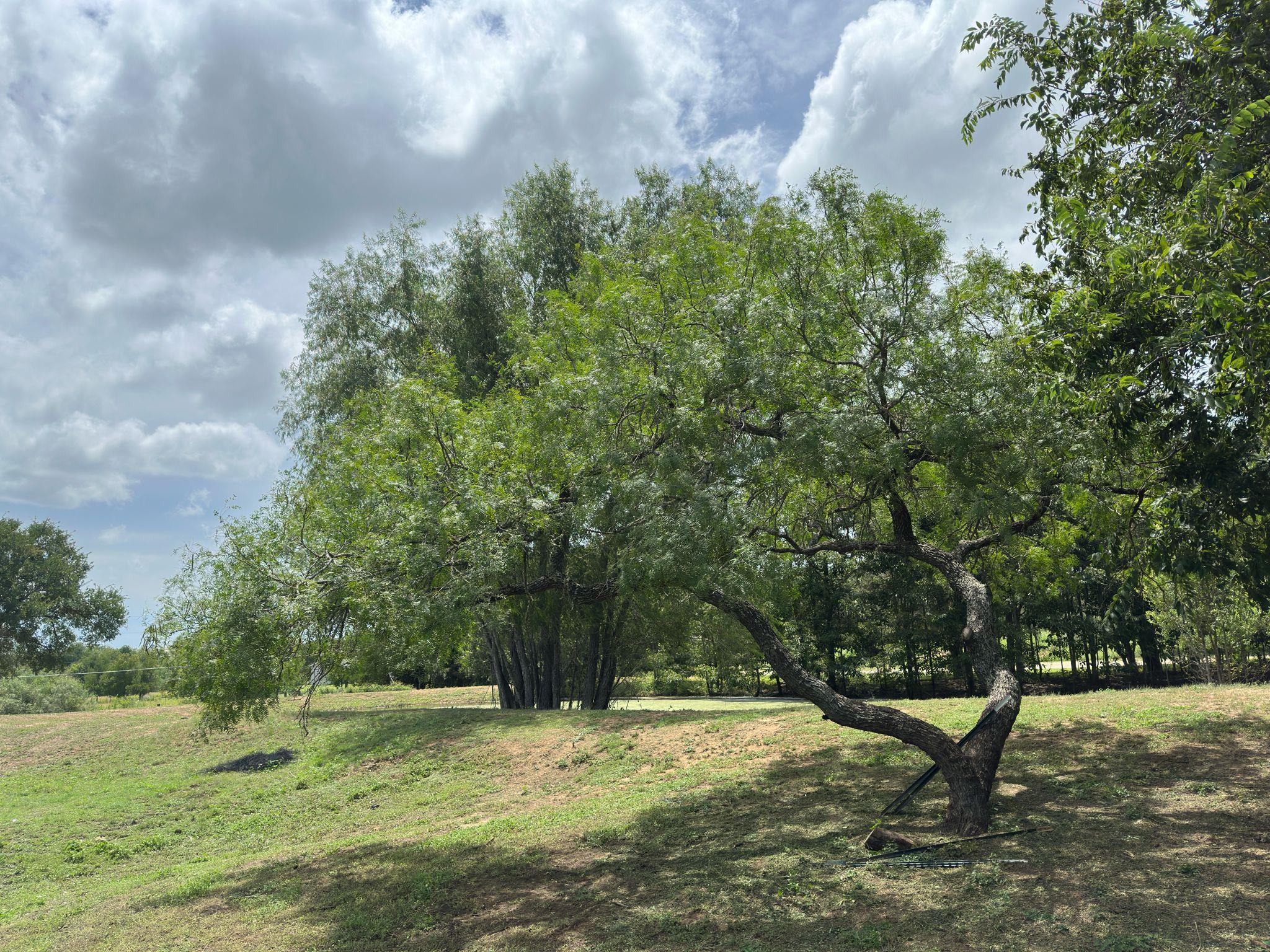 968 Red Town Rd, Elgin, TX 78621