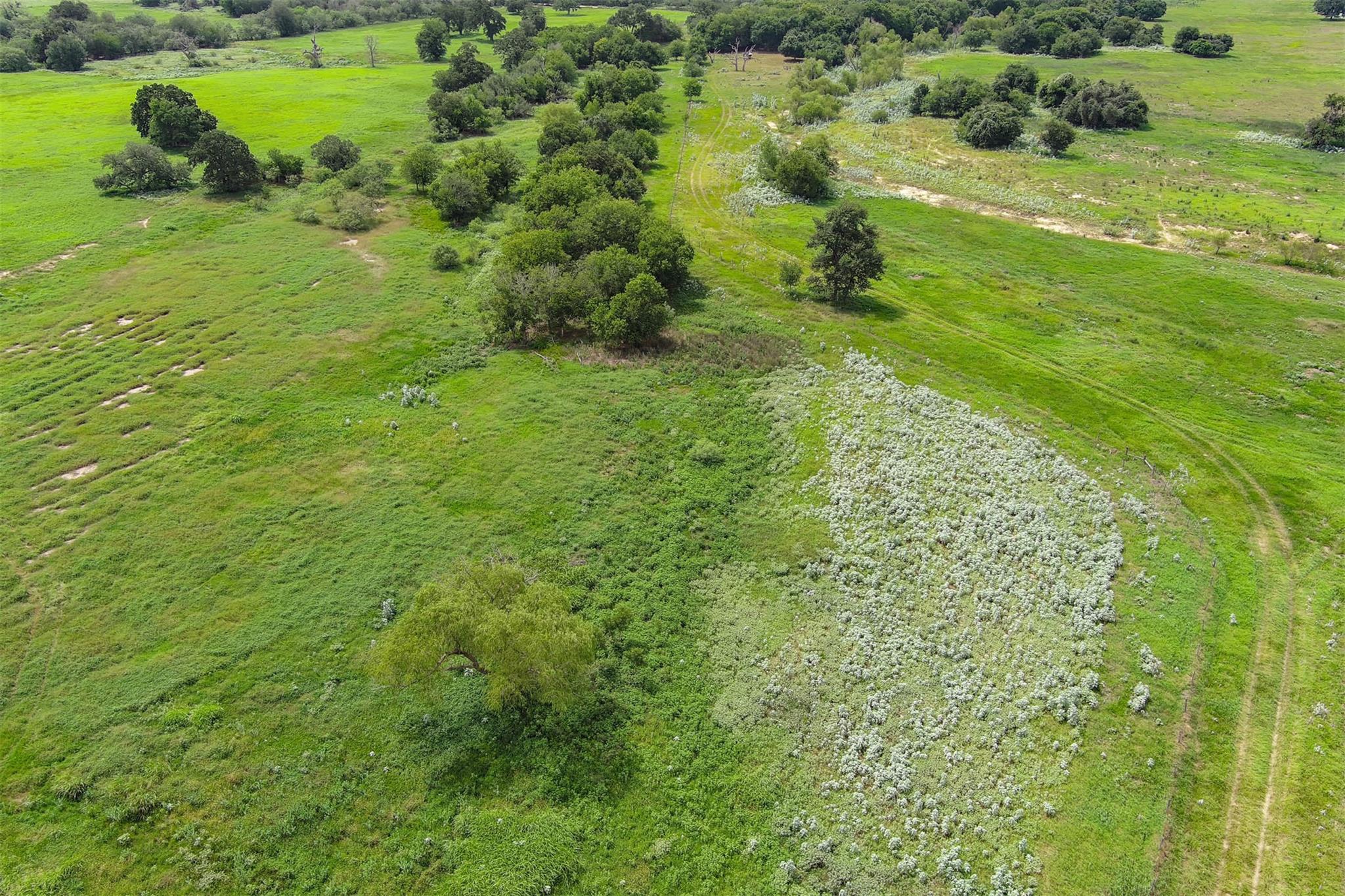 0 Cr 121, Leesville, TX 78140