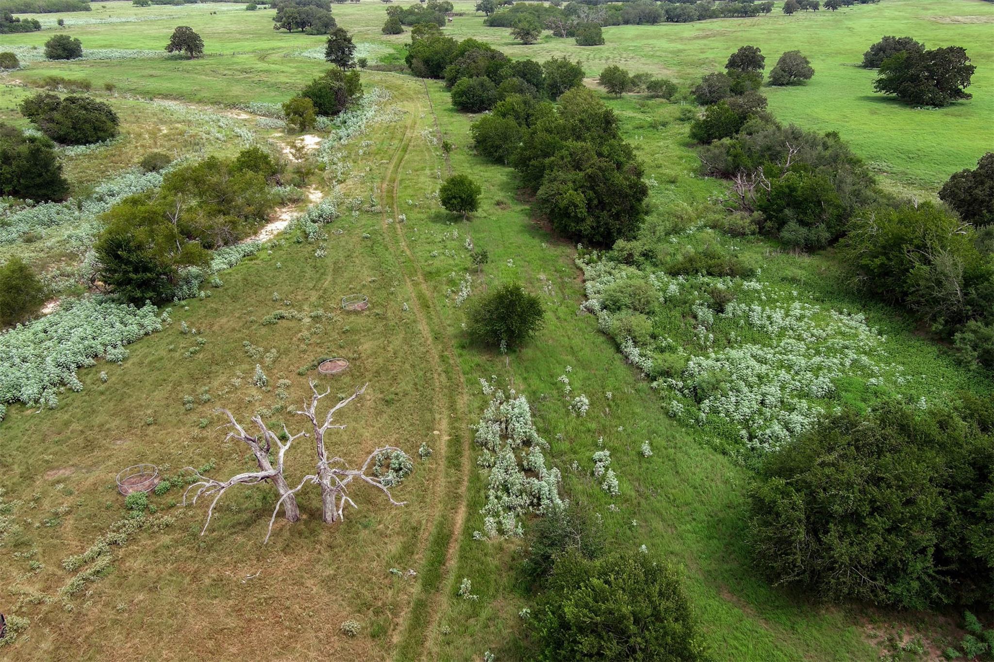 0 Cr 121, Leesville, TX 78140