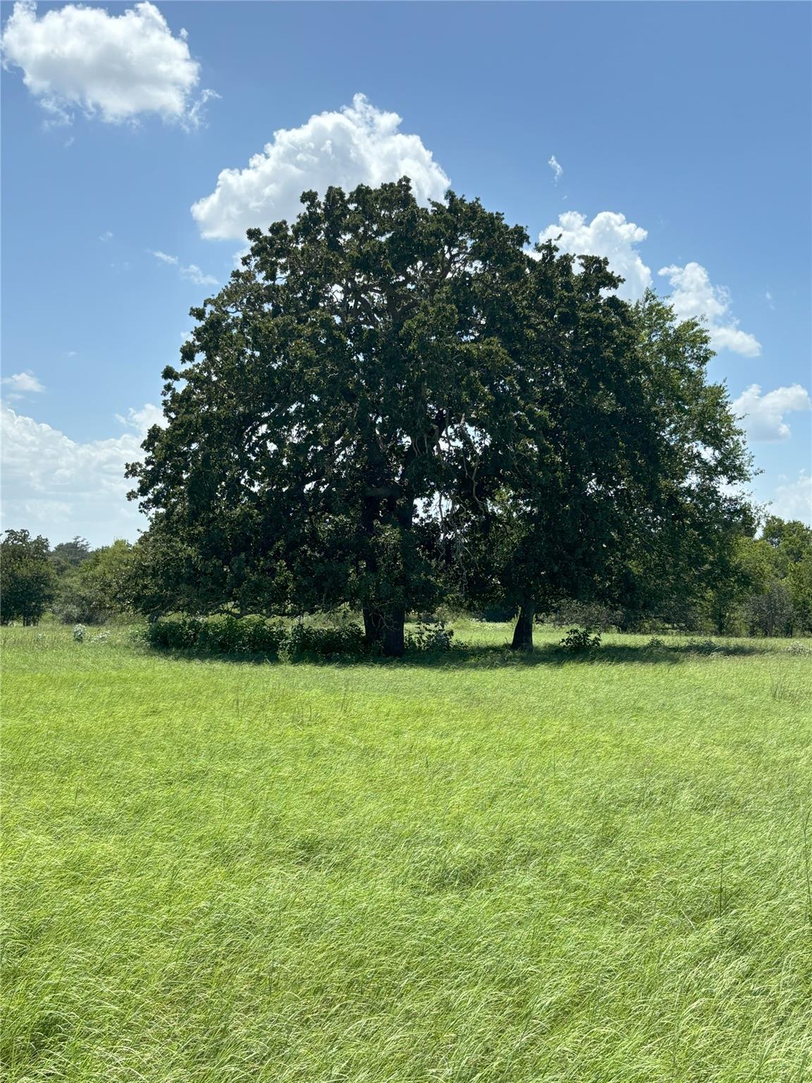 0 Cr 121, Leesville, TX 78140