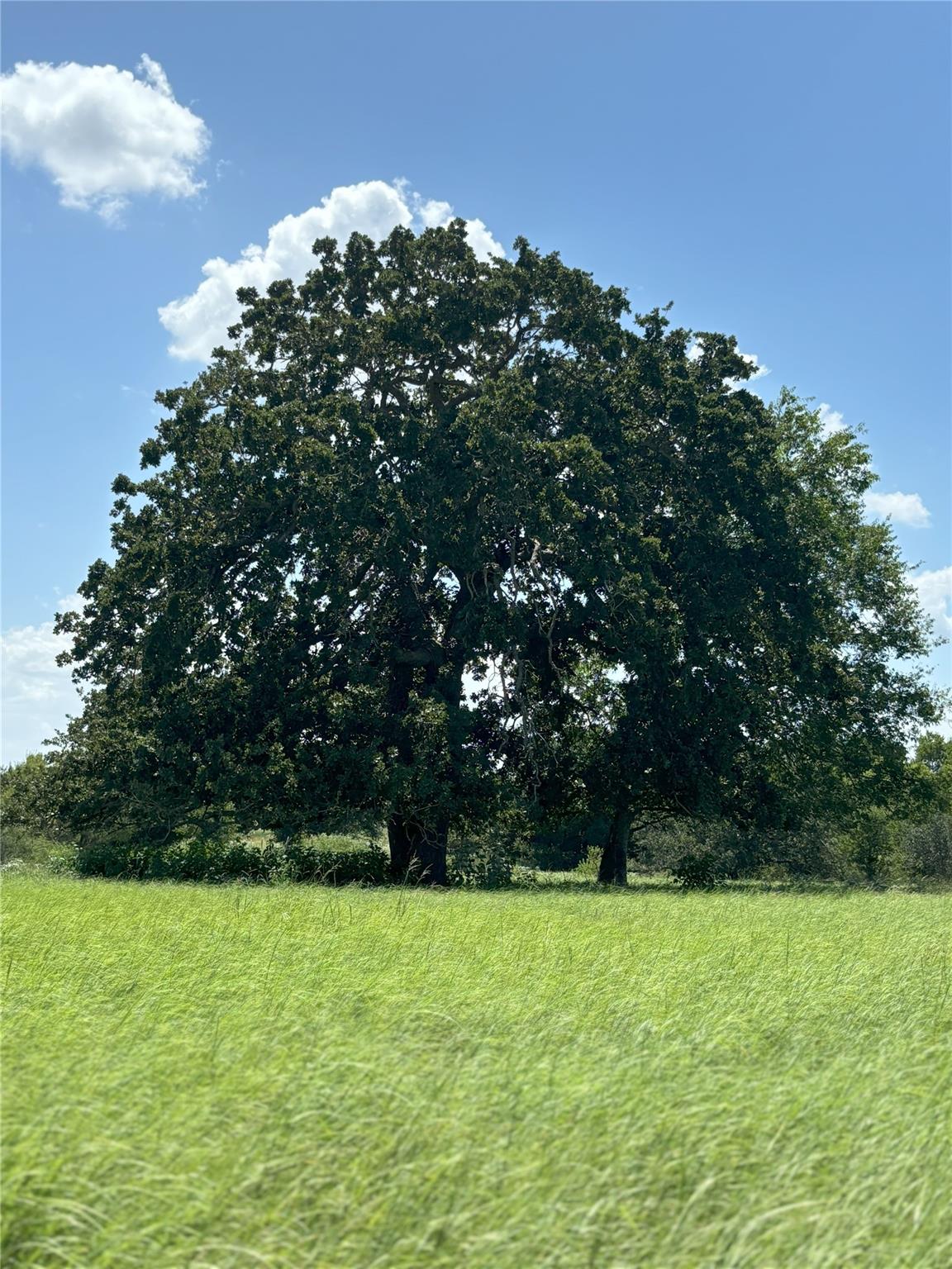 0 Cr 121, Leesville, TX 78140