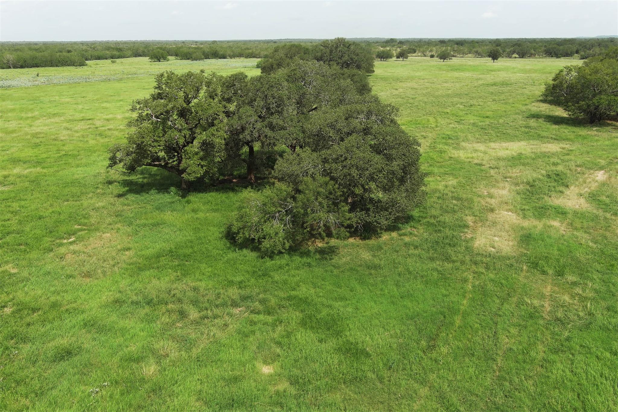 0 Cr 121, Leesville, TX 78140