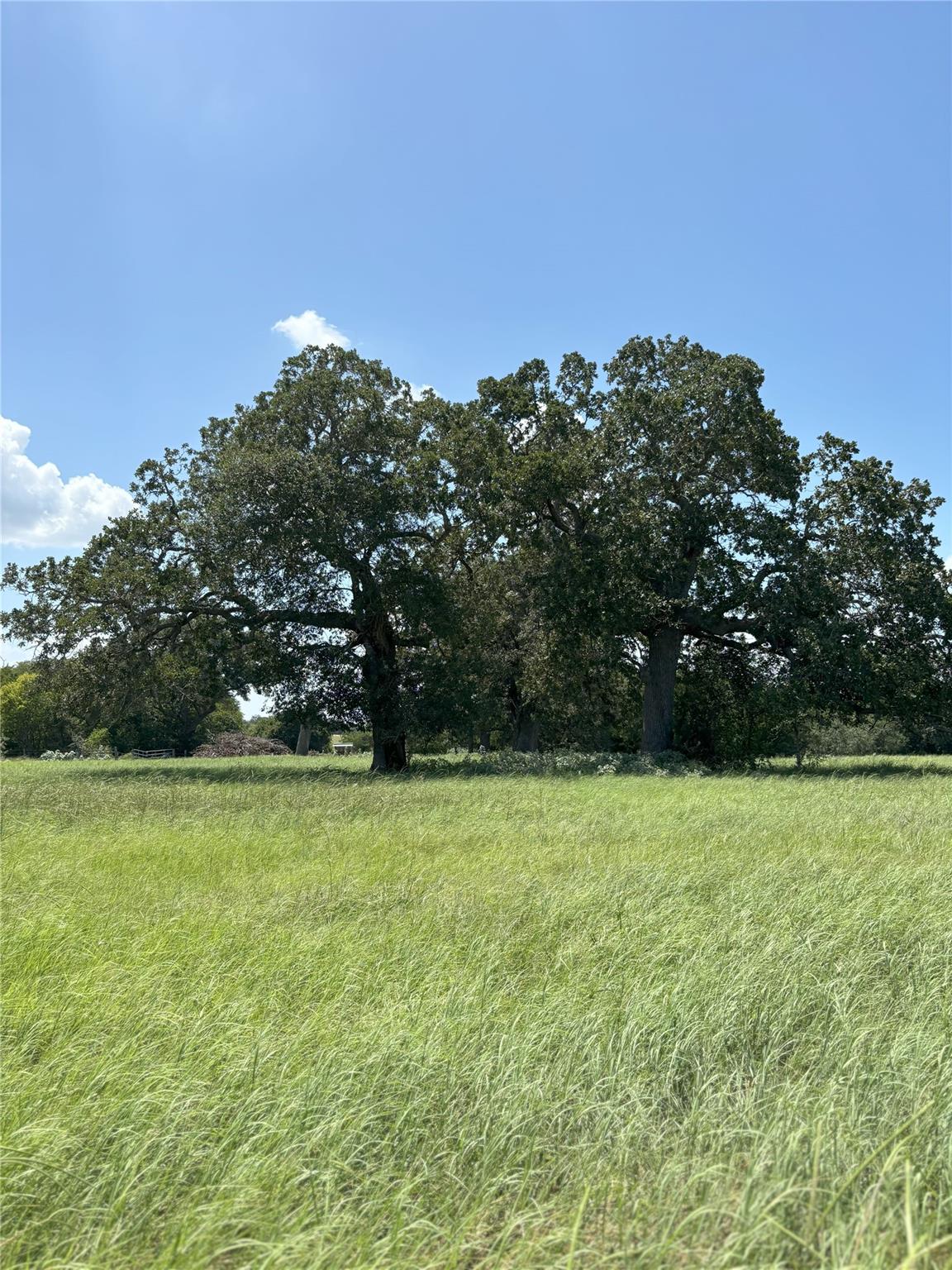 0 Cr 121, Leesville, TX 78140