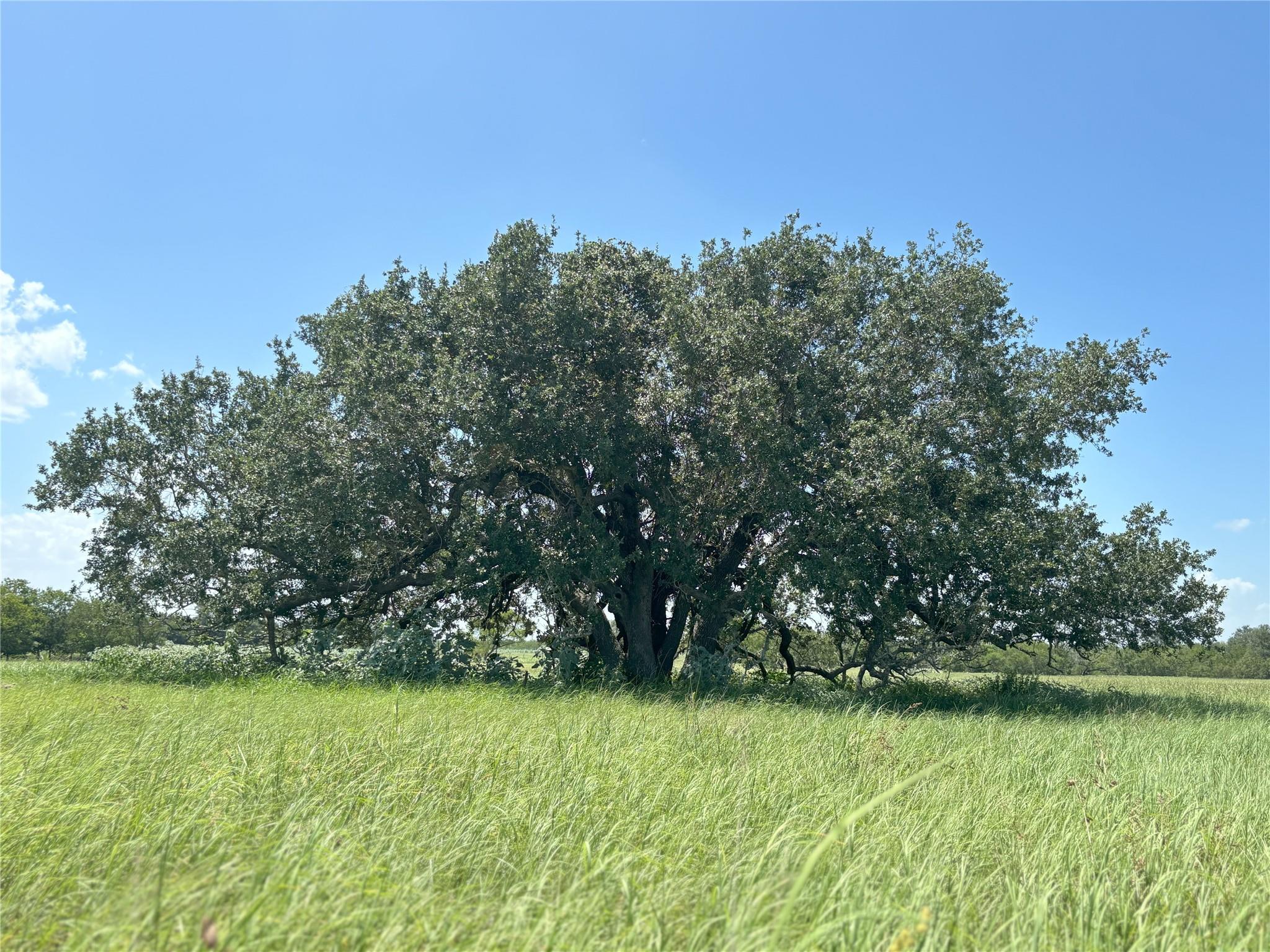 0 Cr 121, Leesville, TX 78140