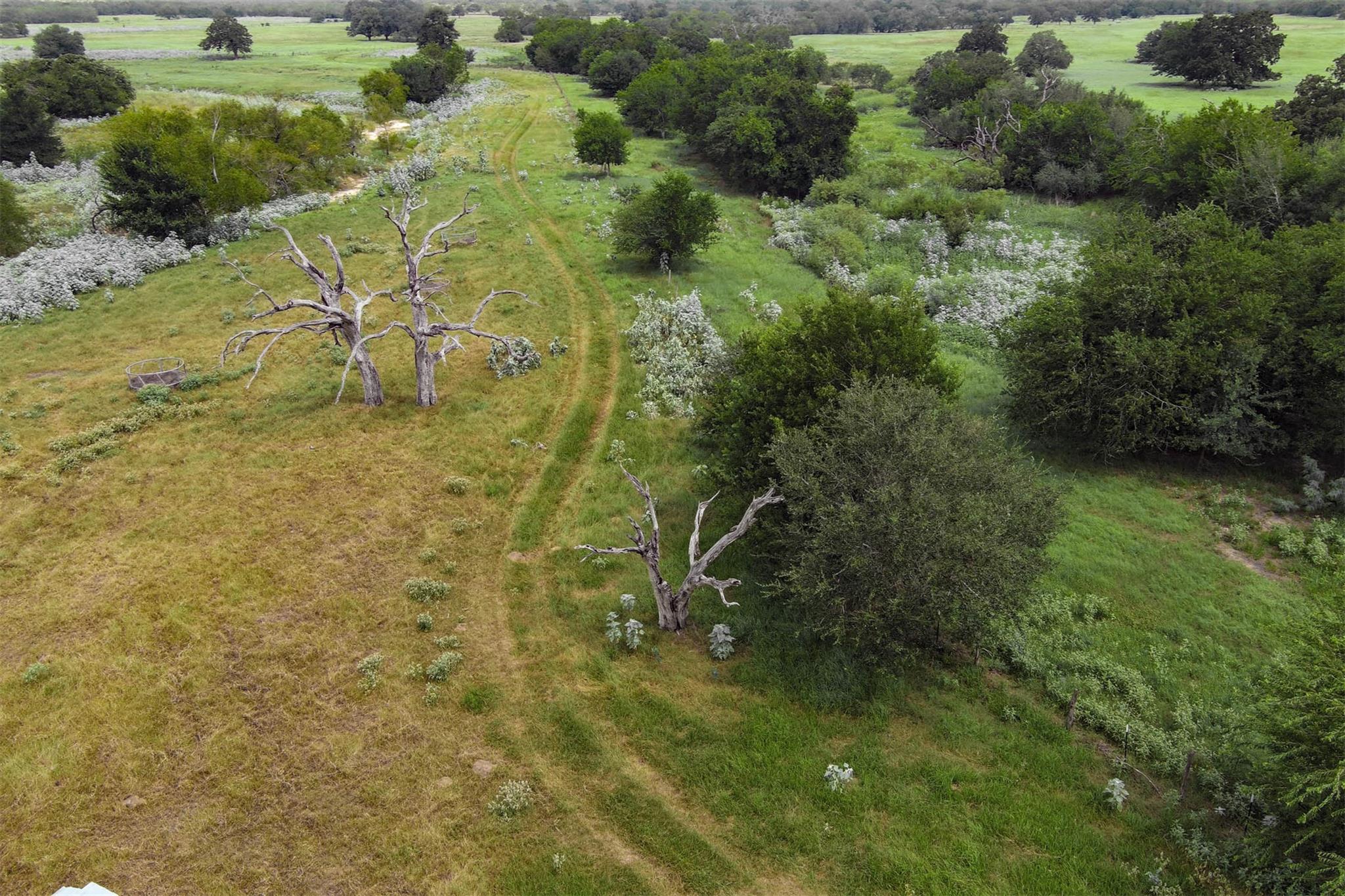 0 Cr 121, Leesville, TX 78140