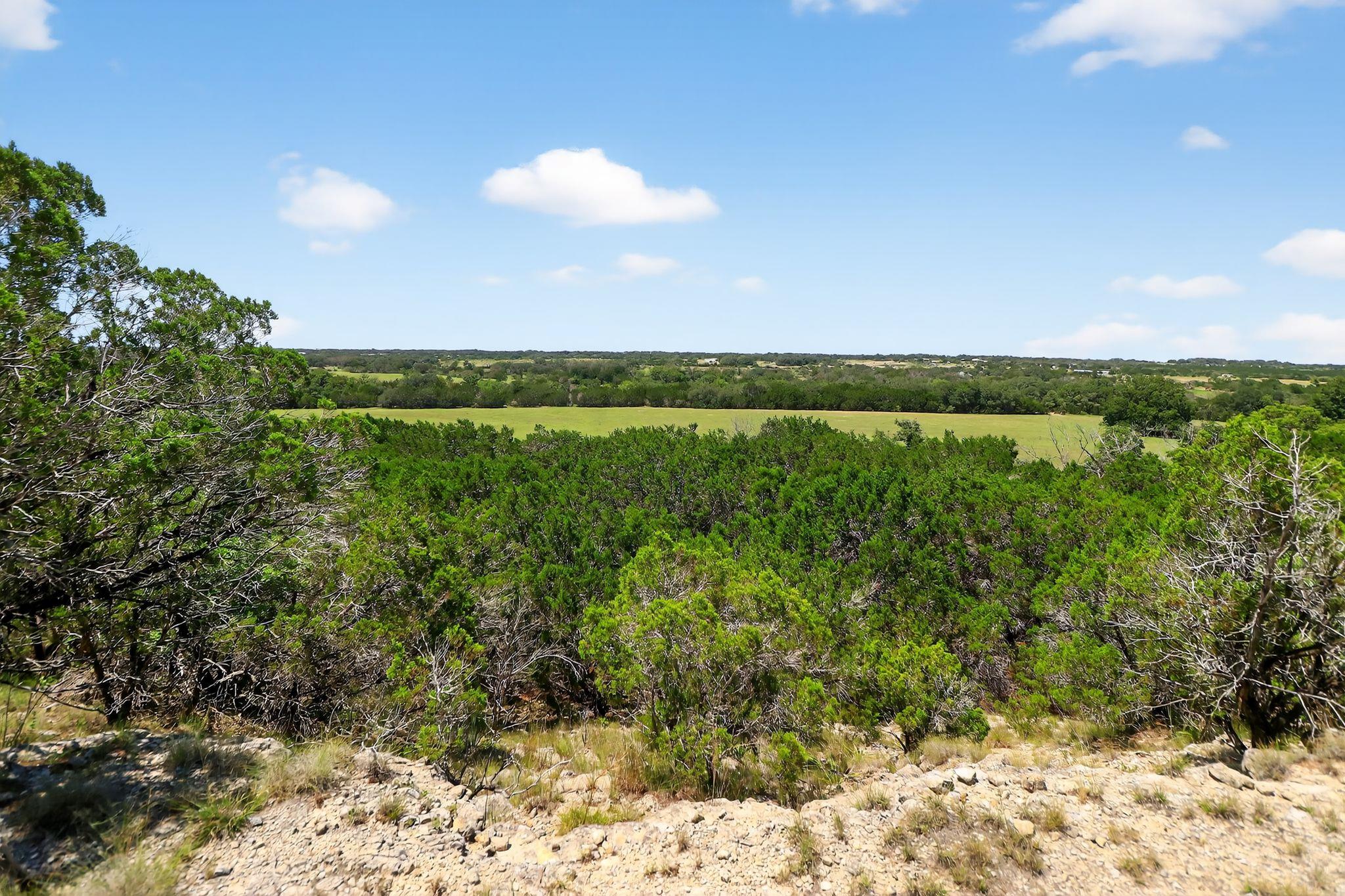 950 Ater Ranch Est, Bertram, TX 78605