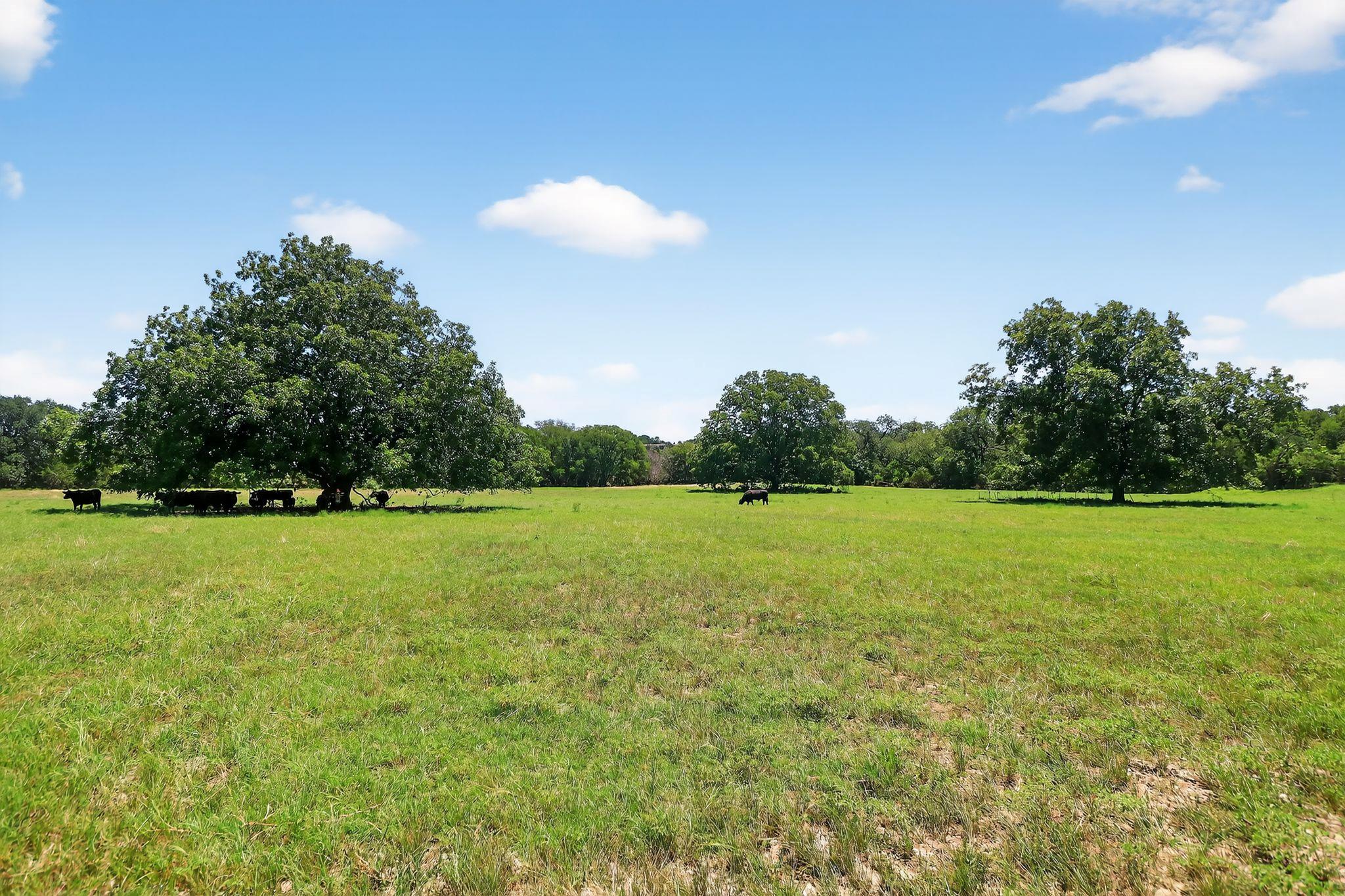 950 Ater Ranch Est, Bertram, TX 78605