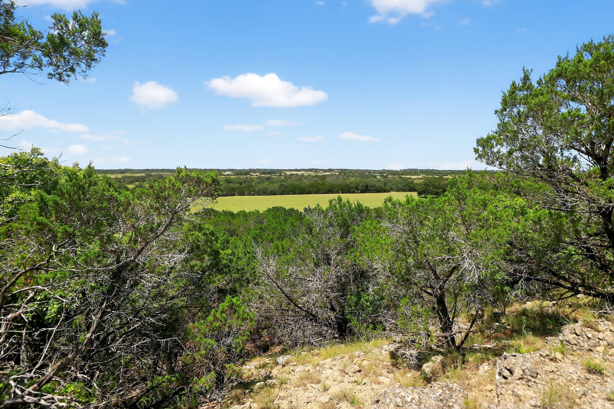 950 Ater Ranch Est, Bertram, TX 78605