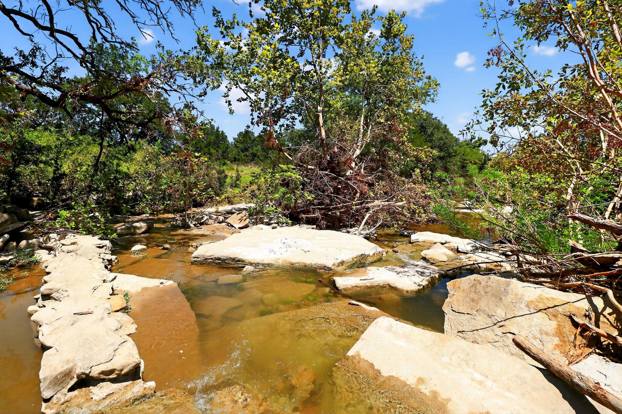 950 Ater Ranch Est, Bertram, TX 78605