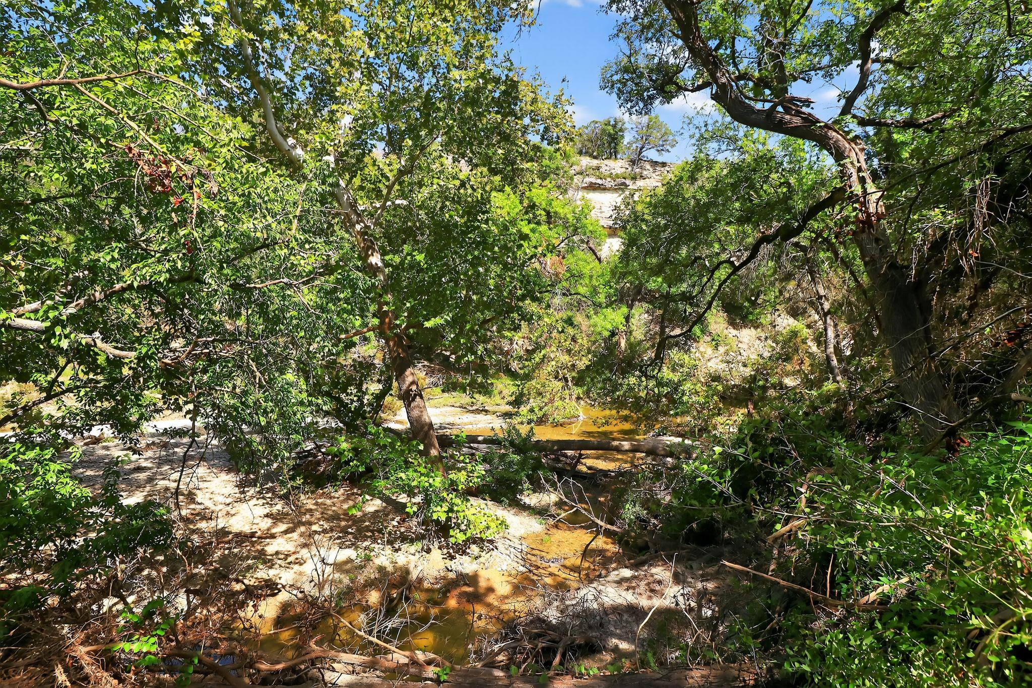 950 Ater Ranch Est, Bertram, TX 78605