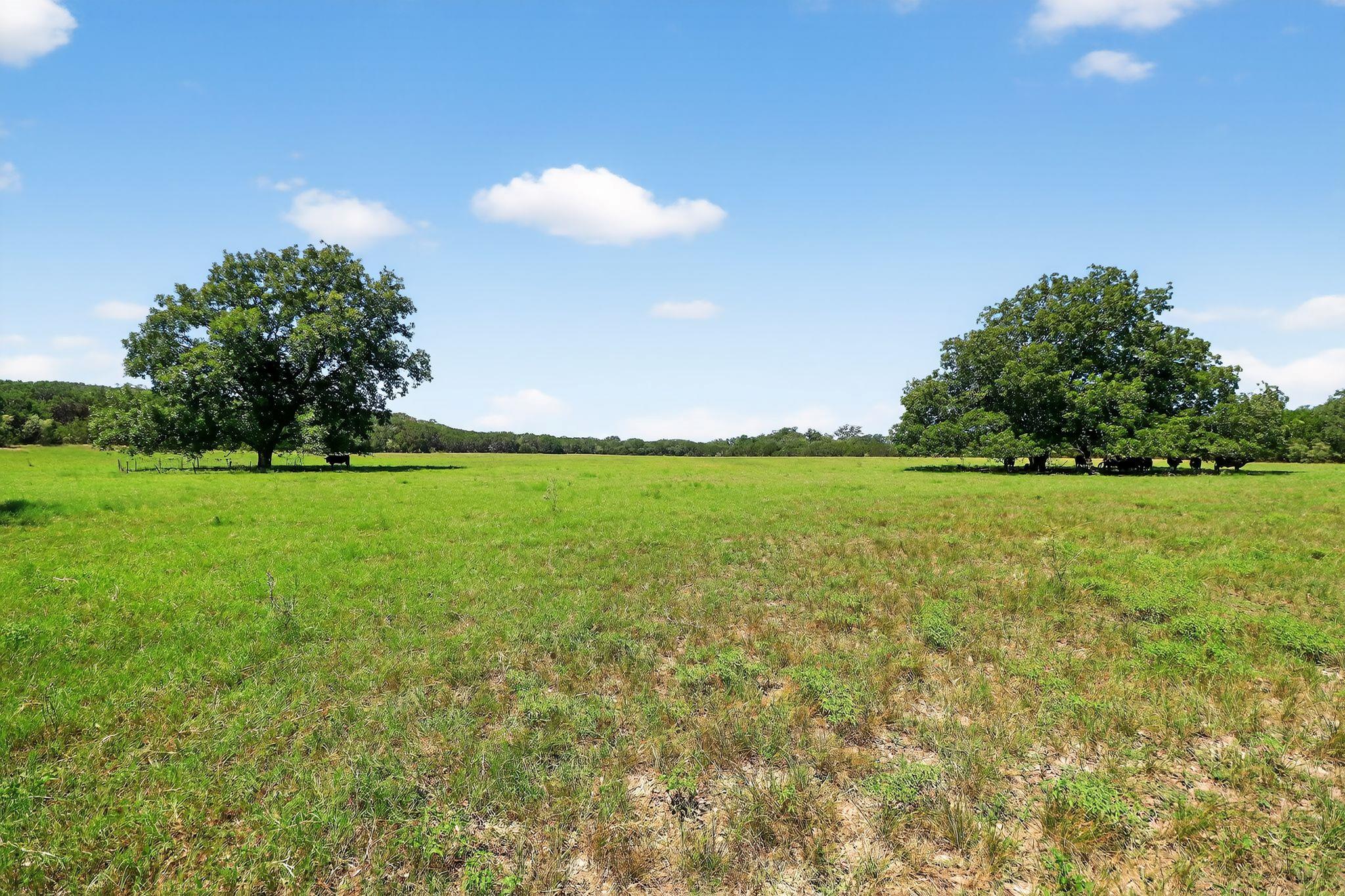 950 Ater Ranch Est, Bertram, TX 78605