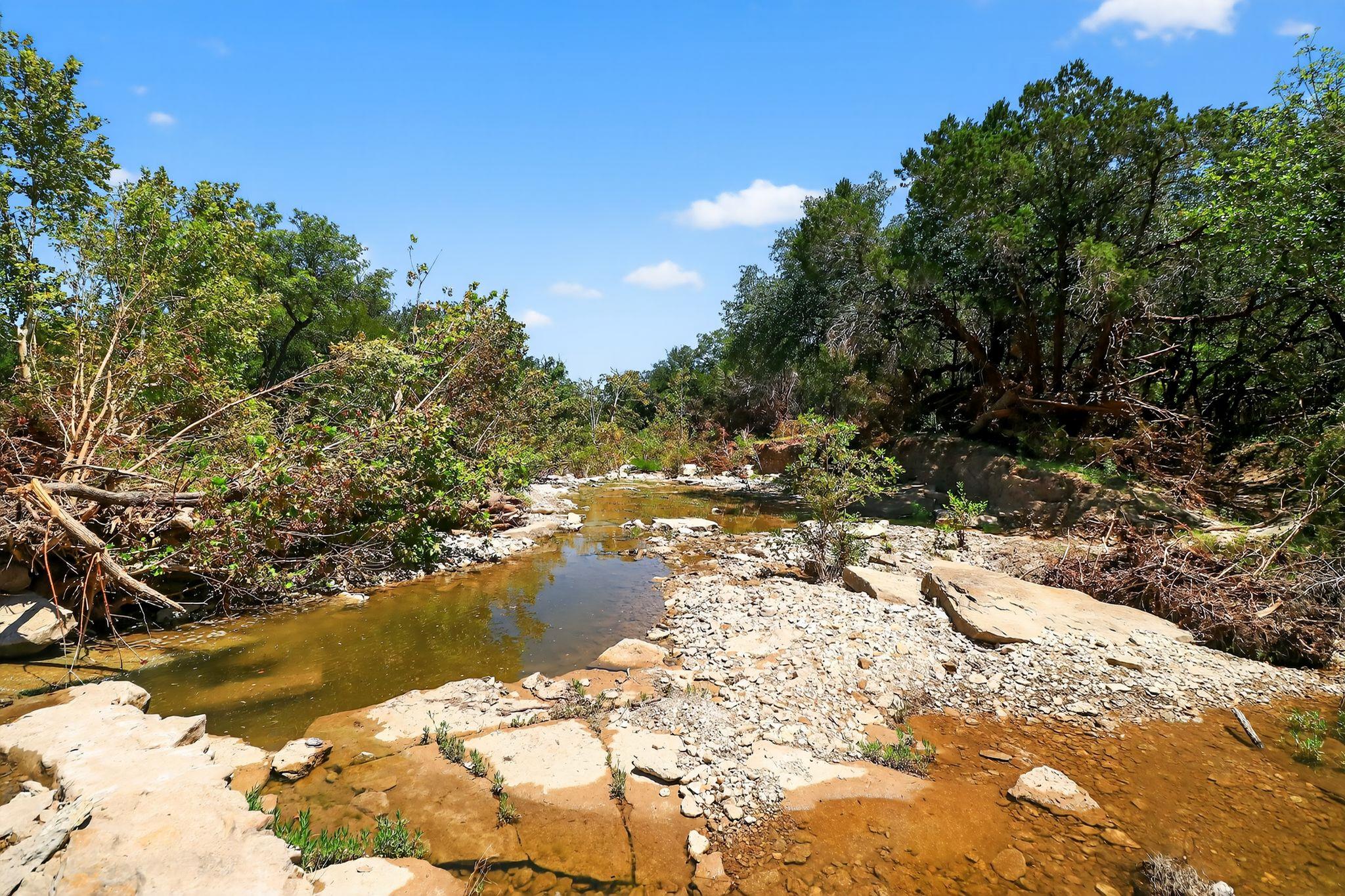950 Ater Ranch Est, Bertram, TX 78605