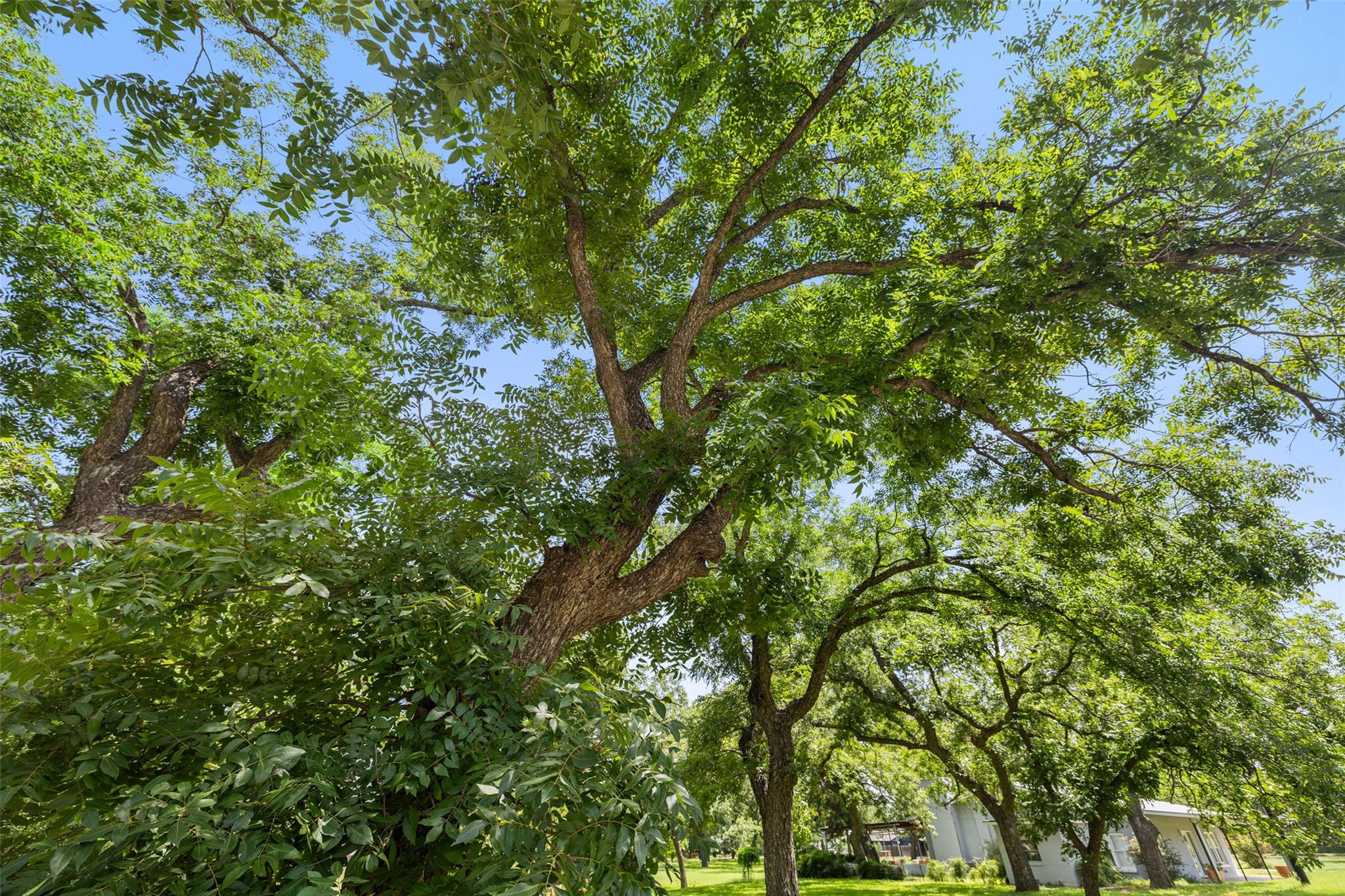 404 Nugent, Johnson City, TX 78636